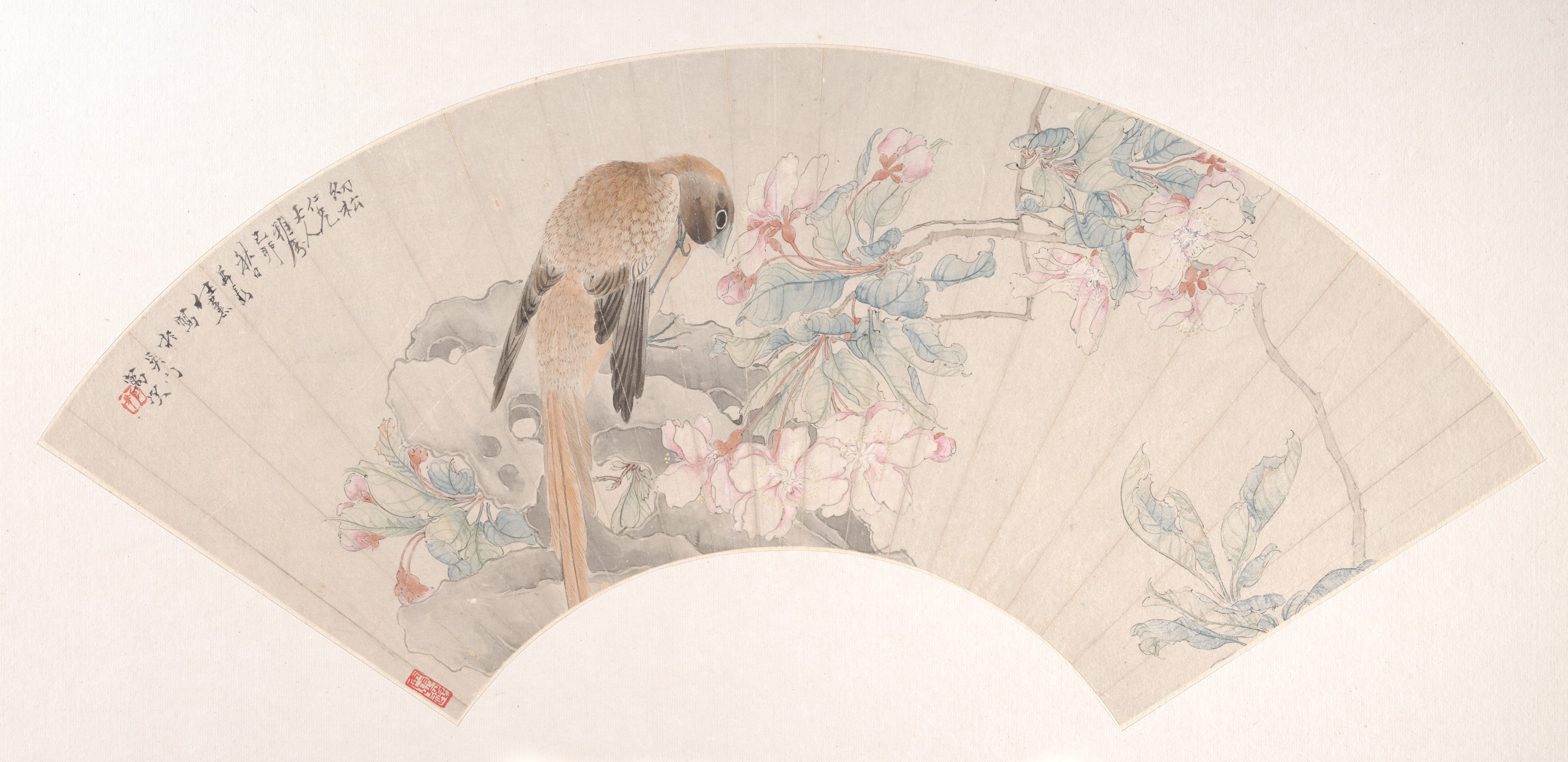 Ren Xun、清朝、ベゴニア鳥ファン |花の咲く枝のそばの岩の上の鳥
