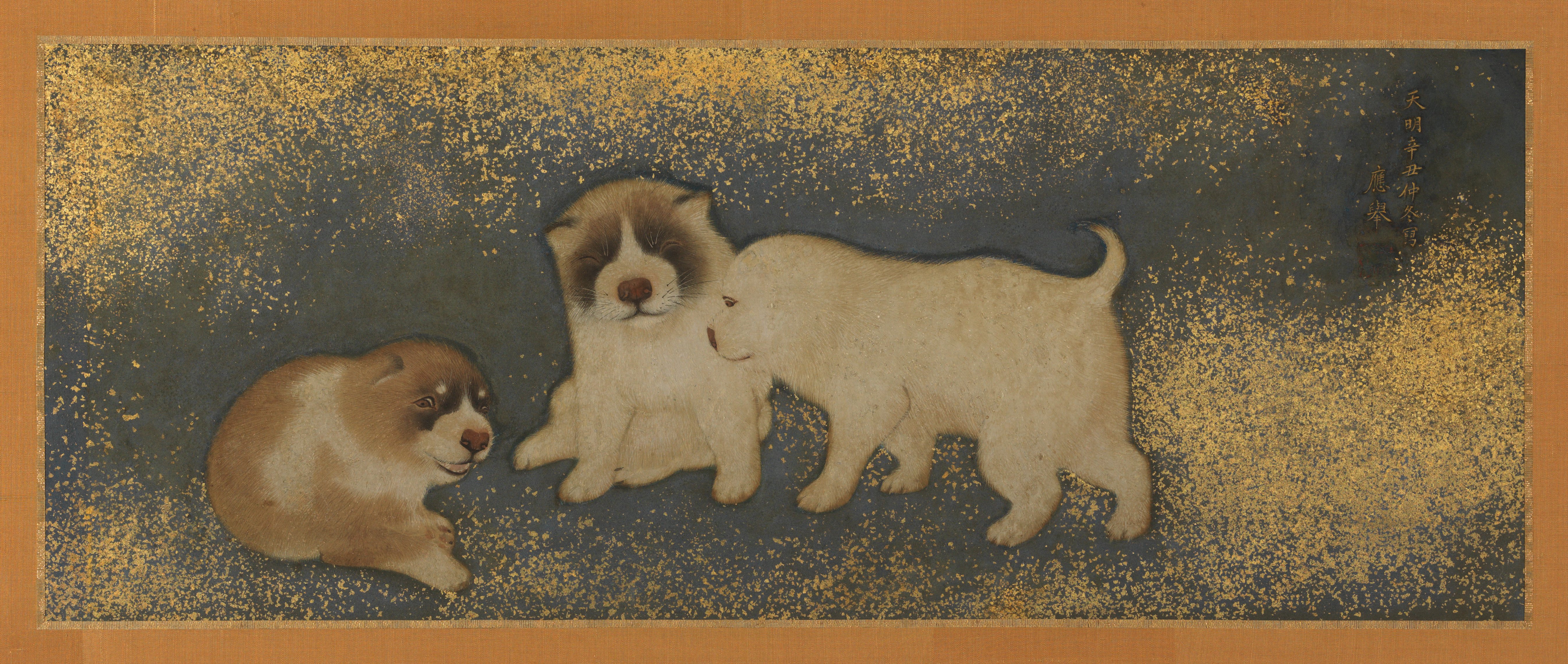 子犬