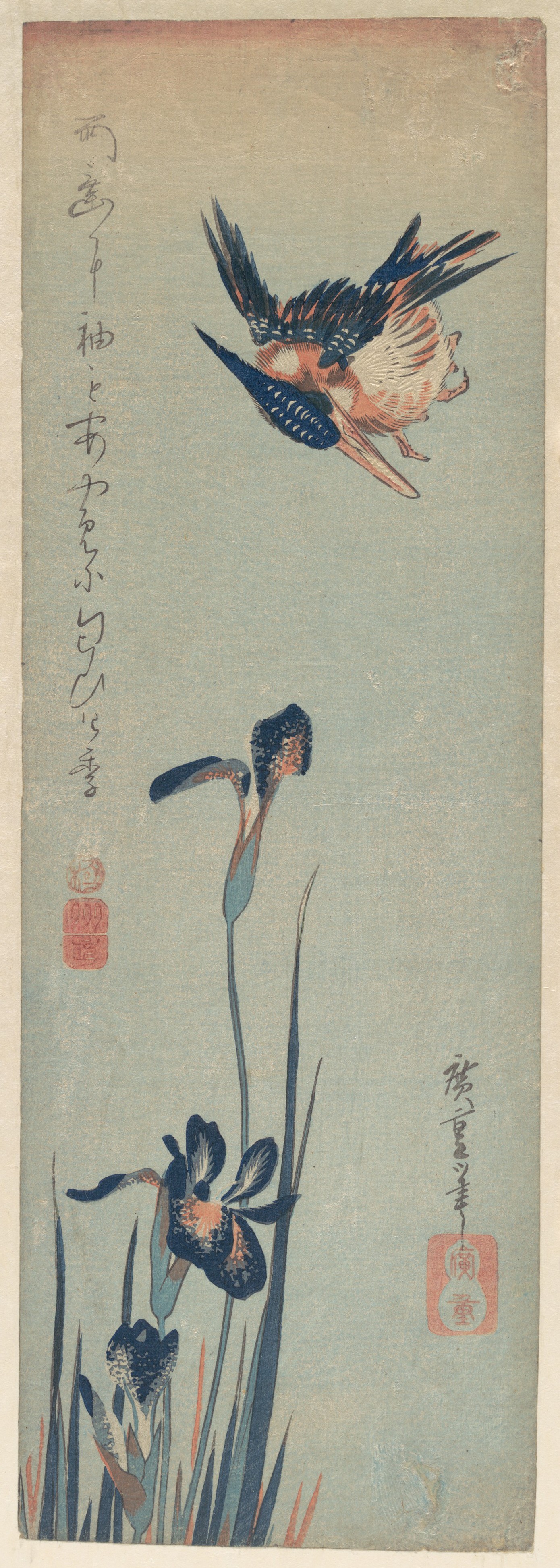歌川広重画　燕子花に川蝉