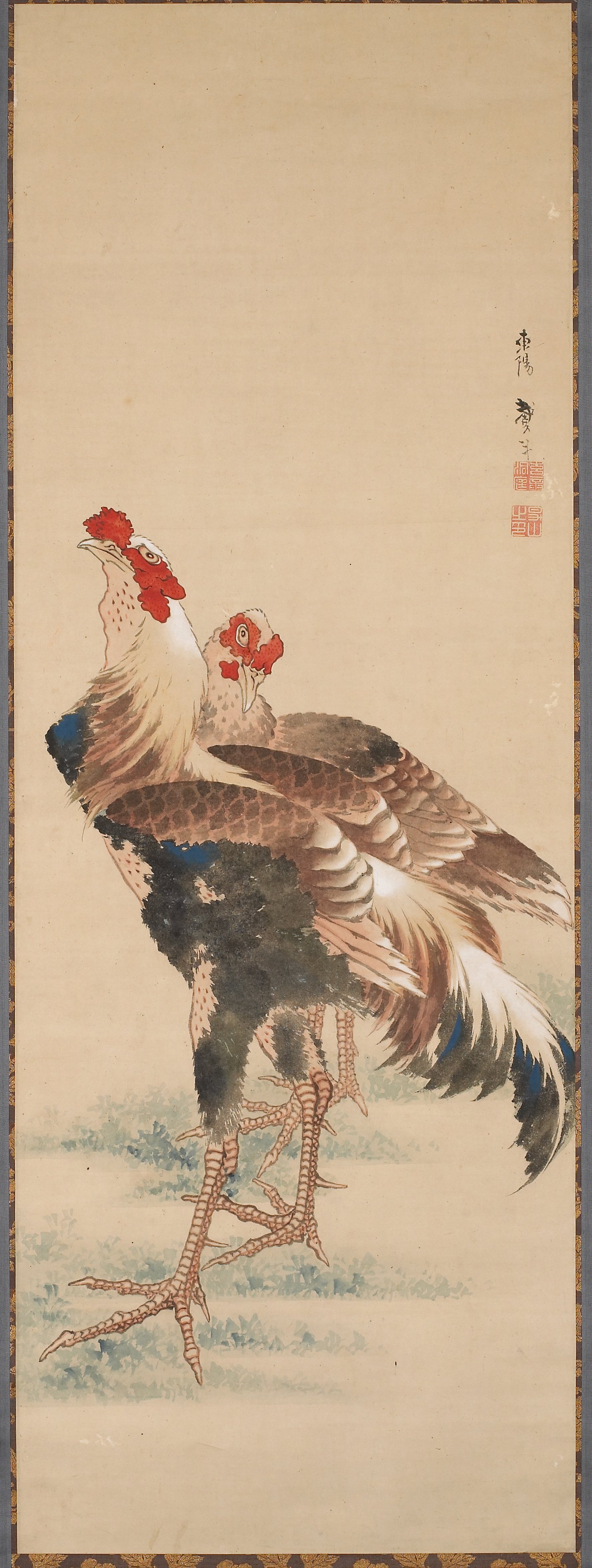 雄鶏