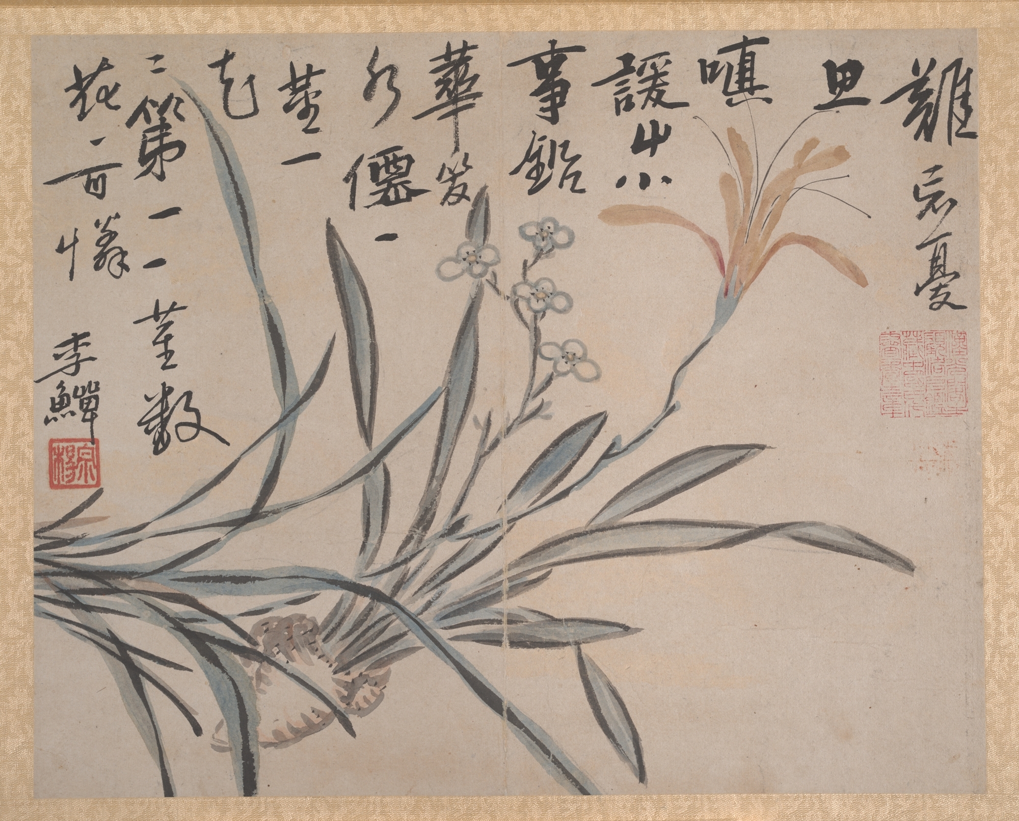清朝、匿名、模倣李環、花と果物のアルバム |植物と野菜