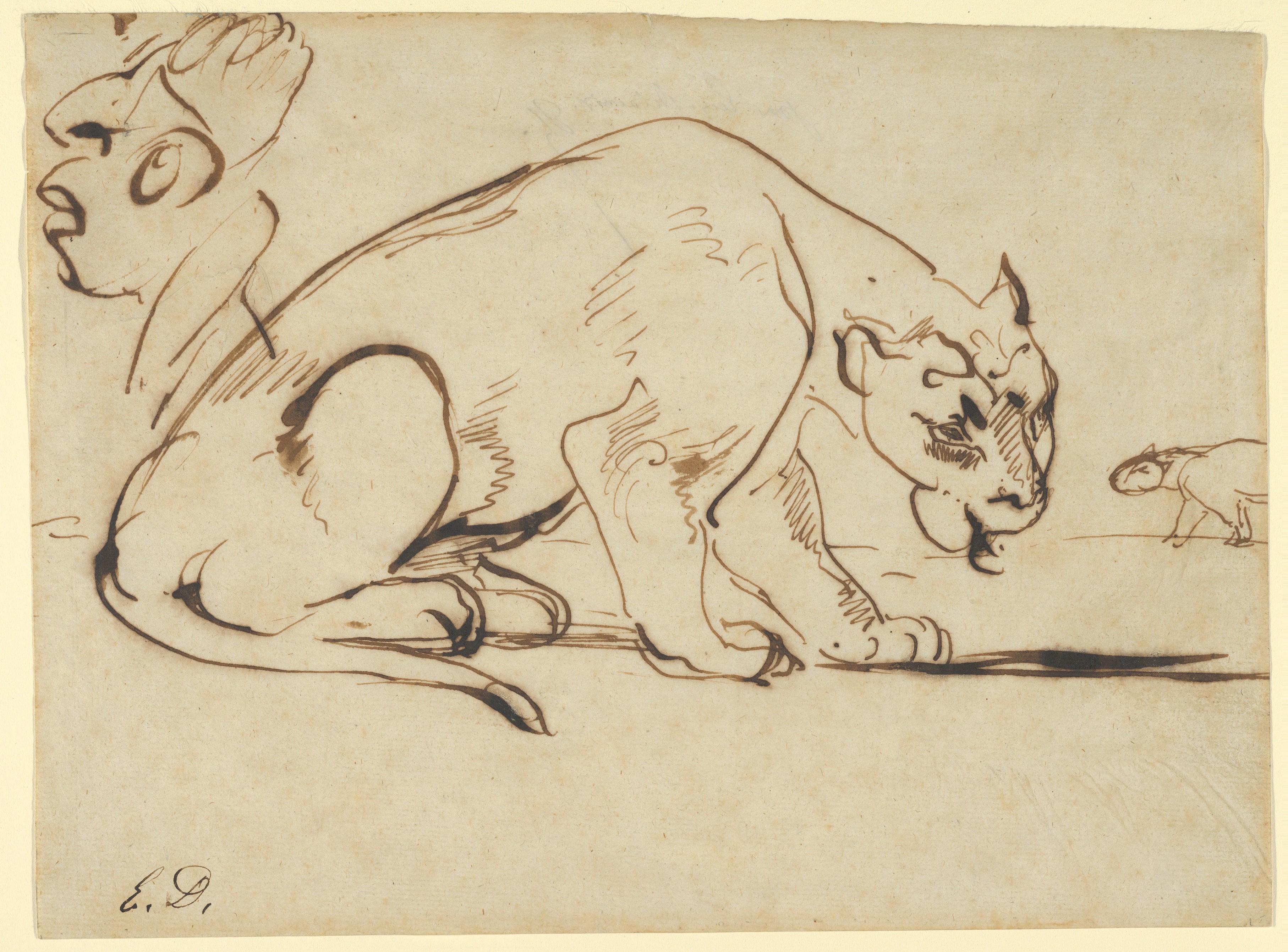雌ライオンとアングルの風刺画
