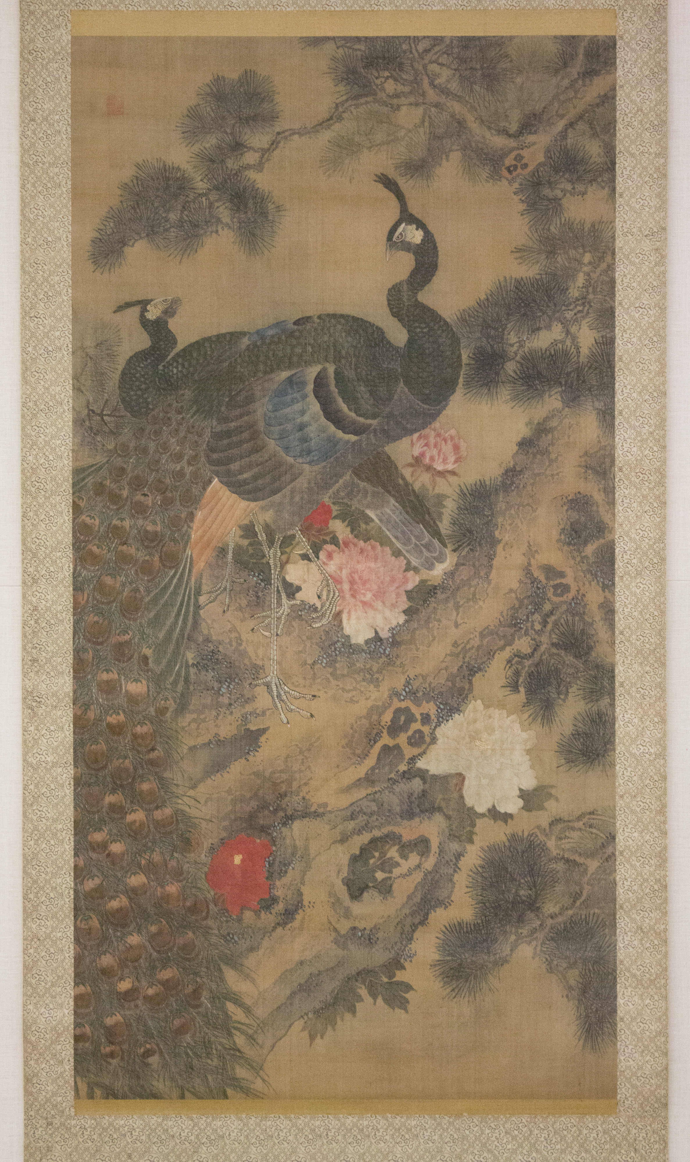 孔雀、松、牡丹