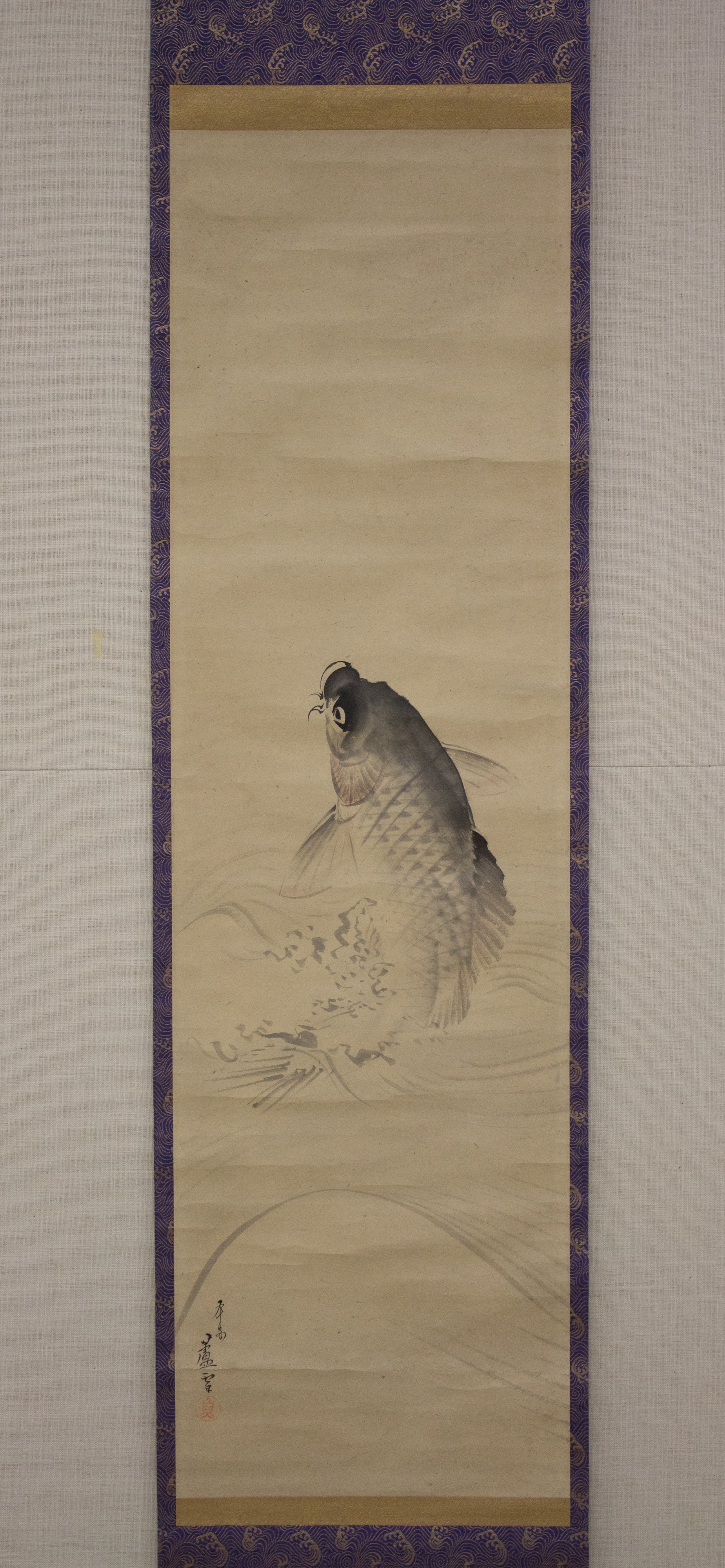 鯉 |鯉