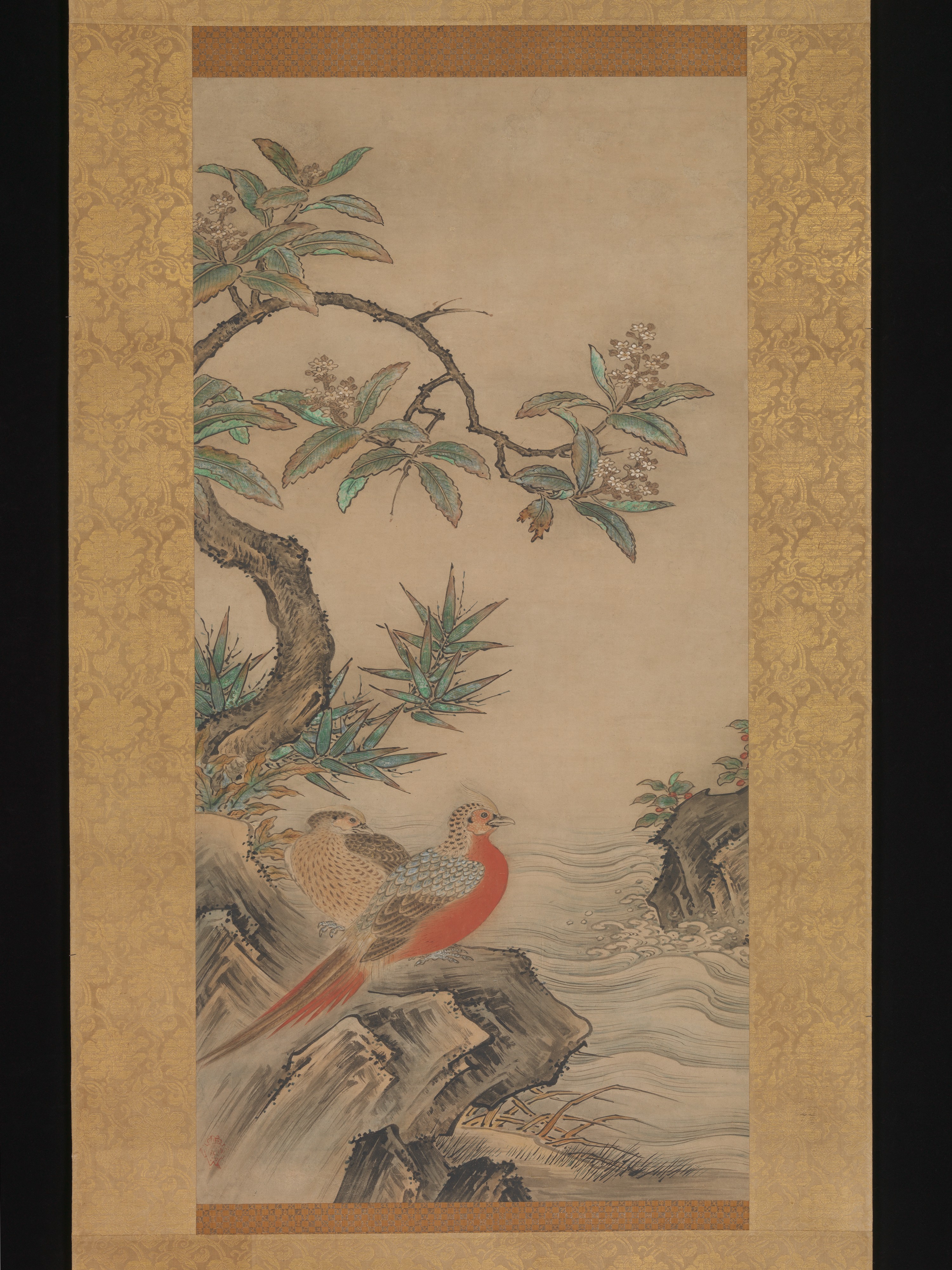 樹間の雉 四季の花々
