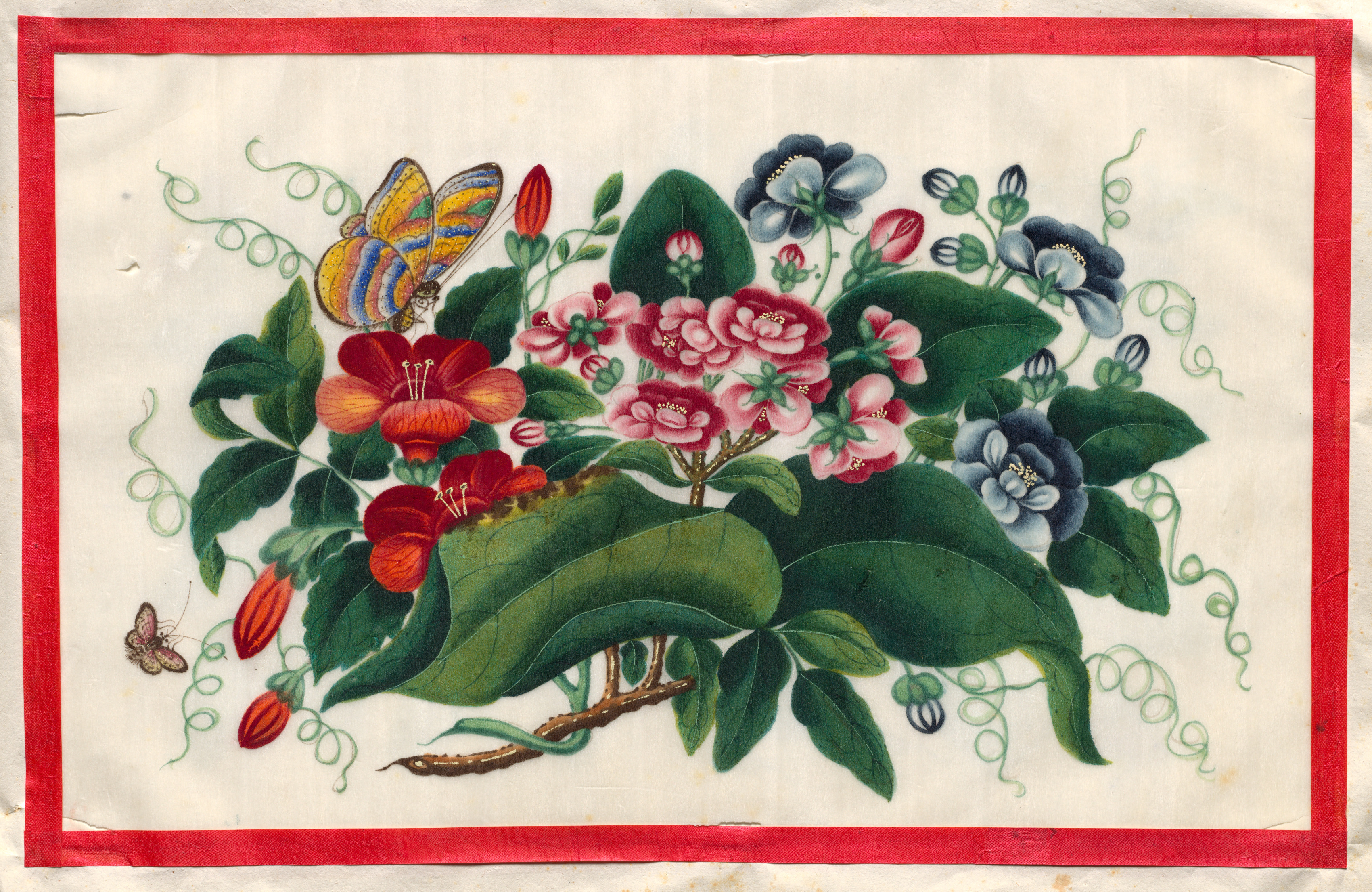 花蝶画帖 第5図