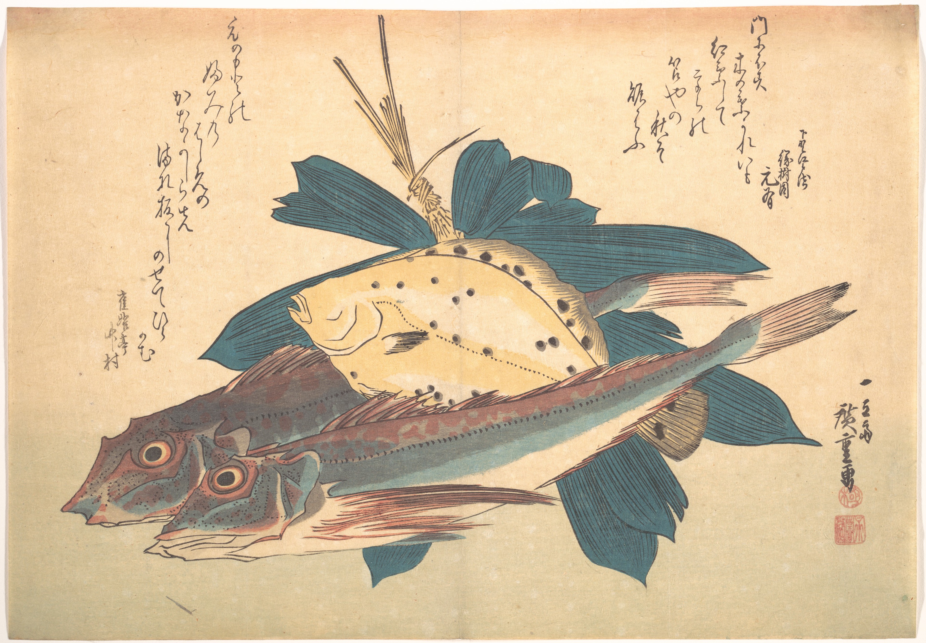 魚づくし　かれい　かながしらに笹