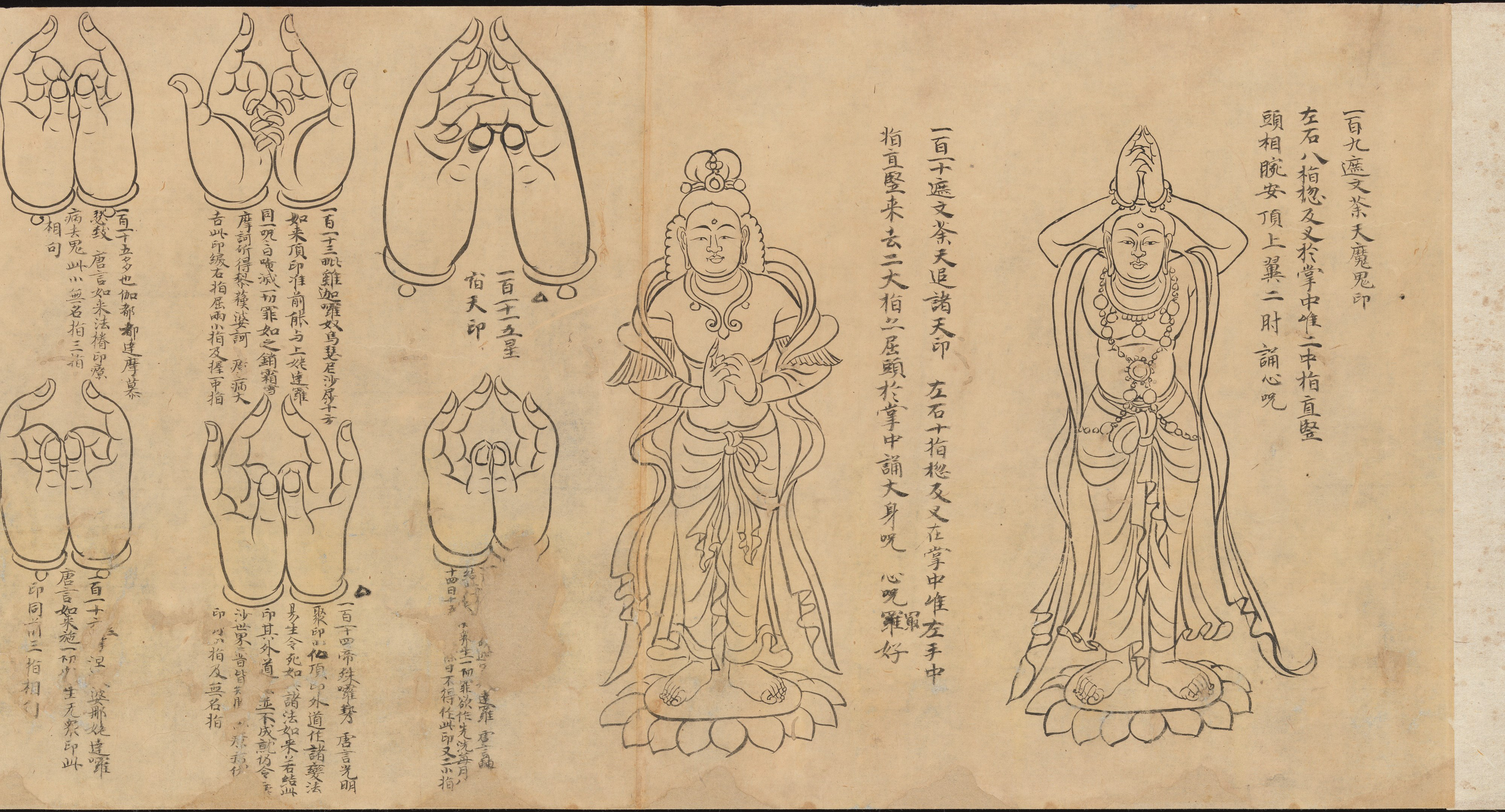 ムドラの巻物