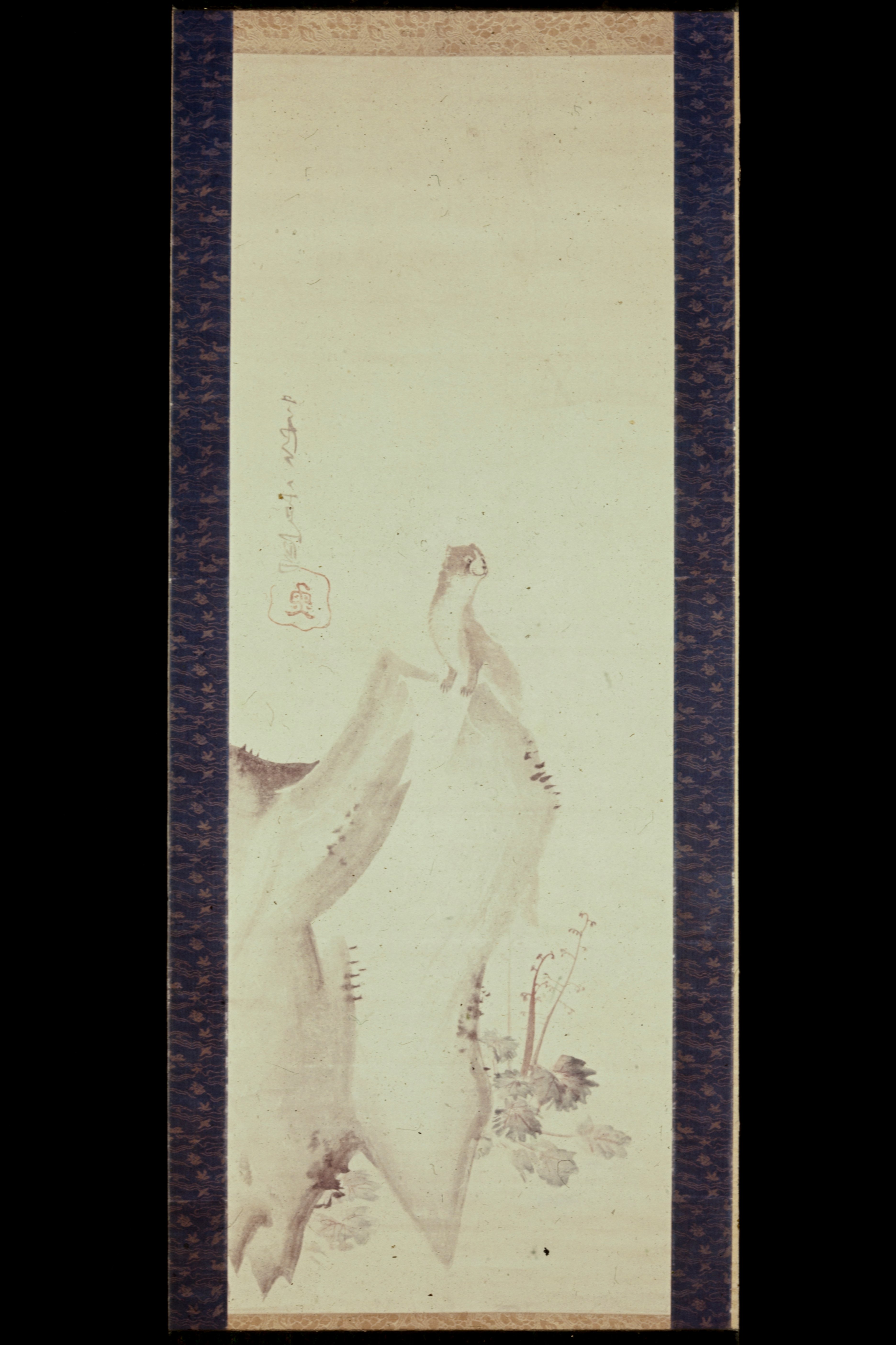 岩上の鼬