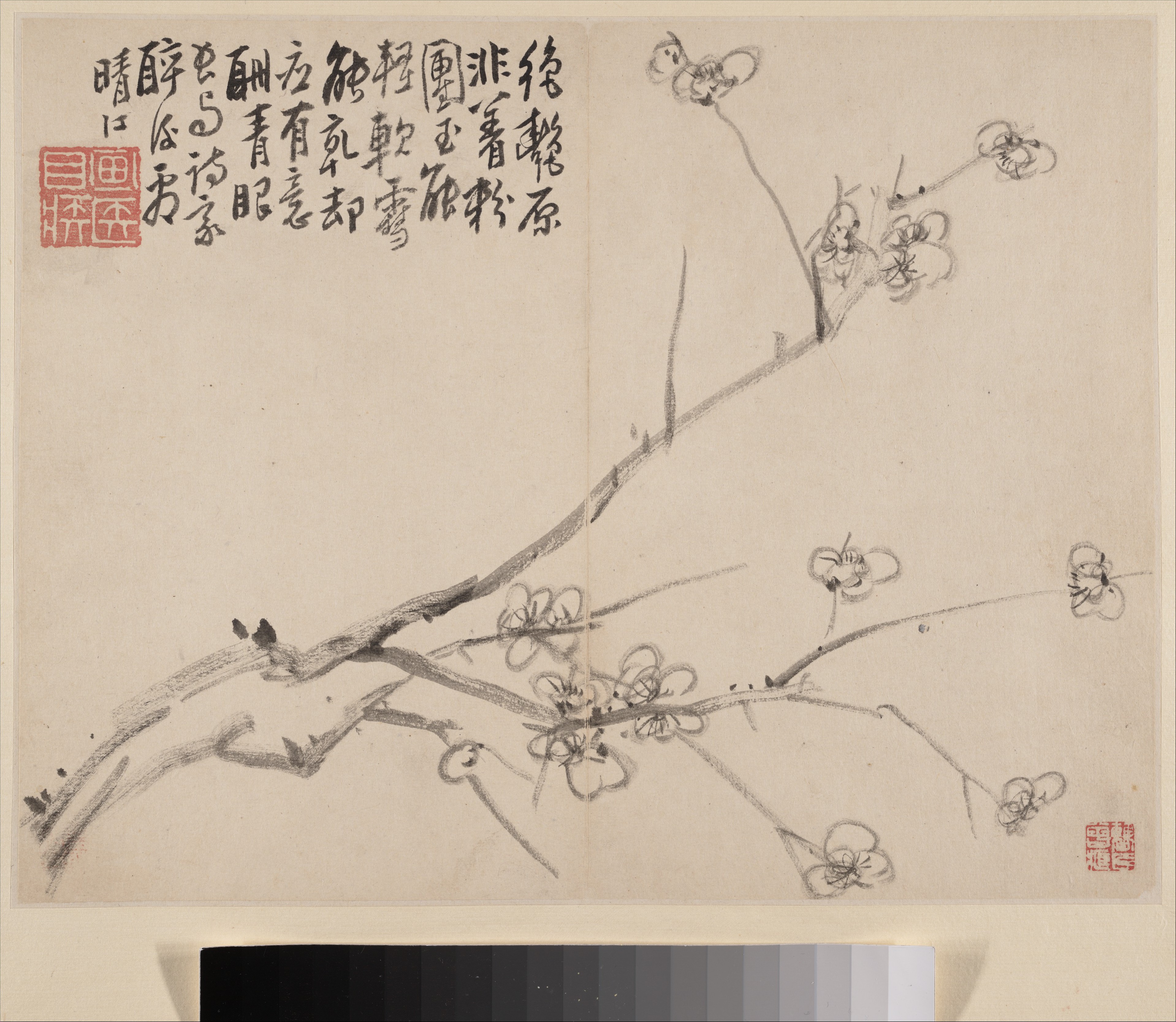 清朝の李芳英作「梅の花」のアルバム