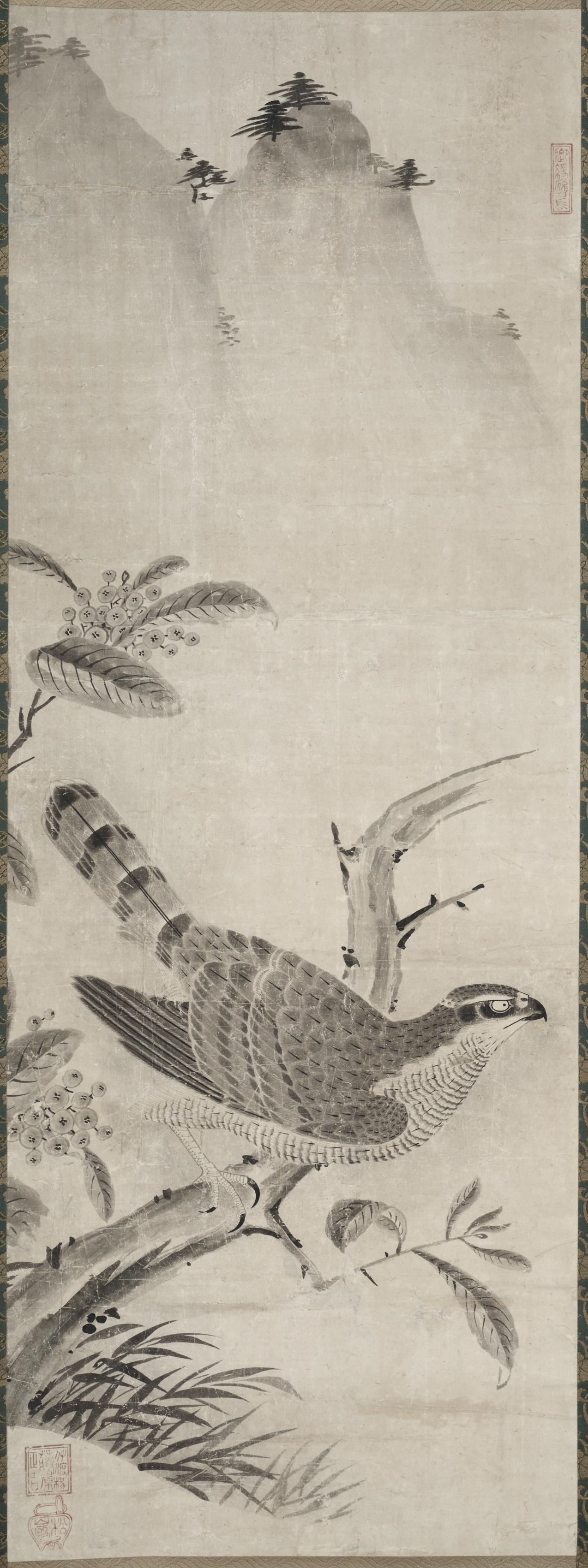 鷹