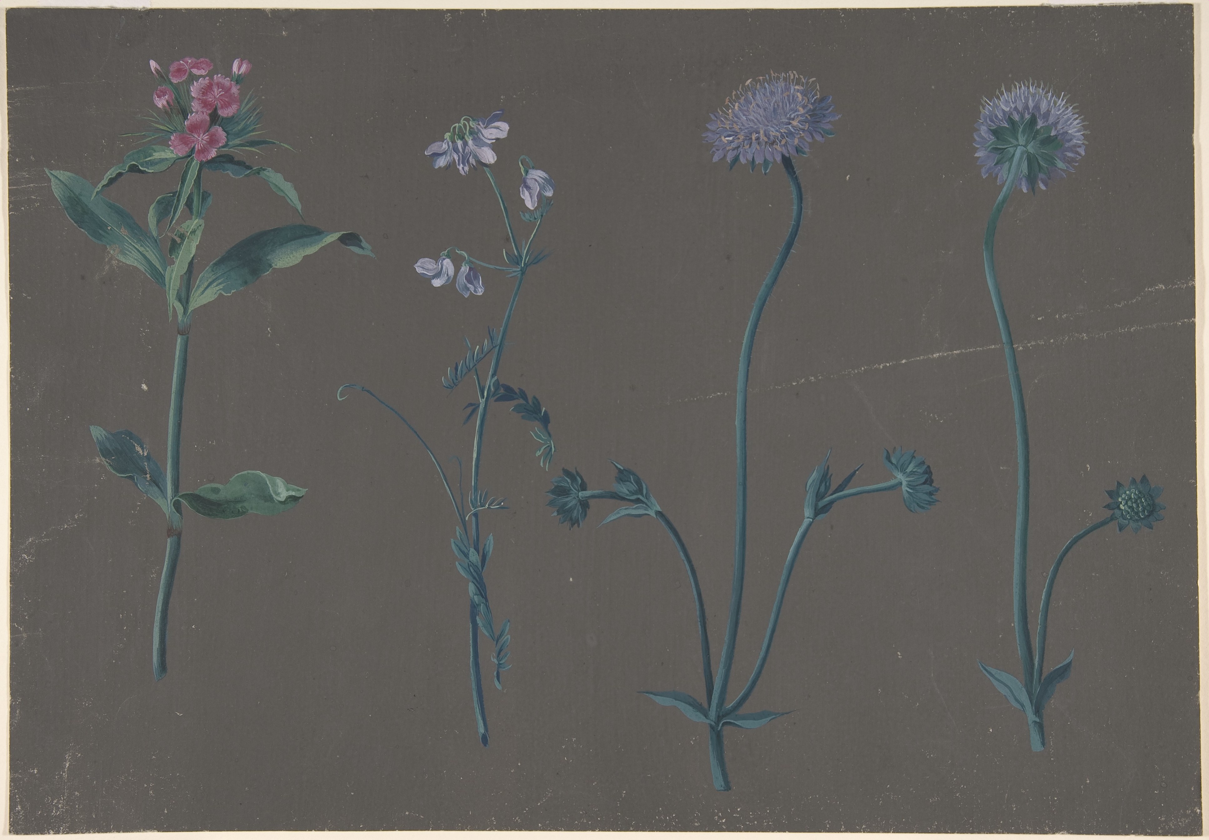 3つの花の習作