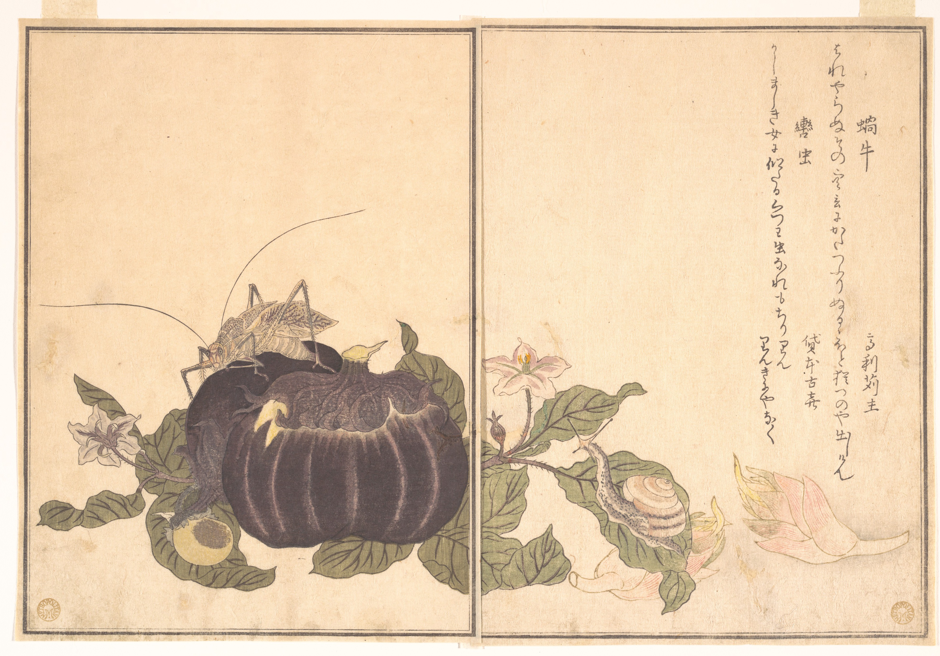 カタツムリ（かたつむり）。巨大キリギリス（クツワムシ） 這う生き物図鑑（絵本むしえらみ）より