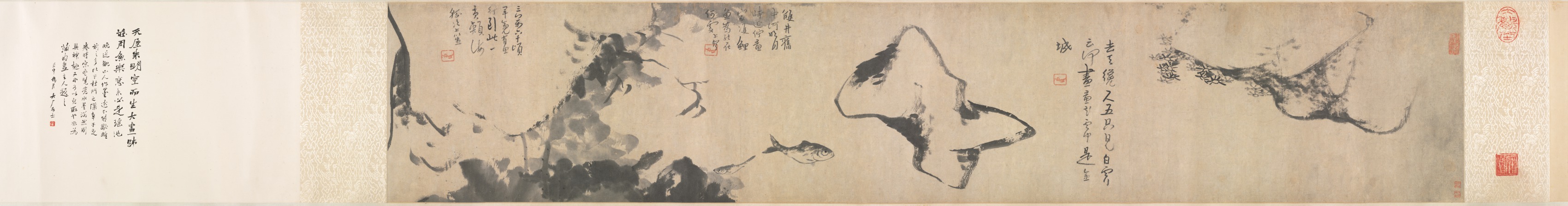 魚と岩