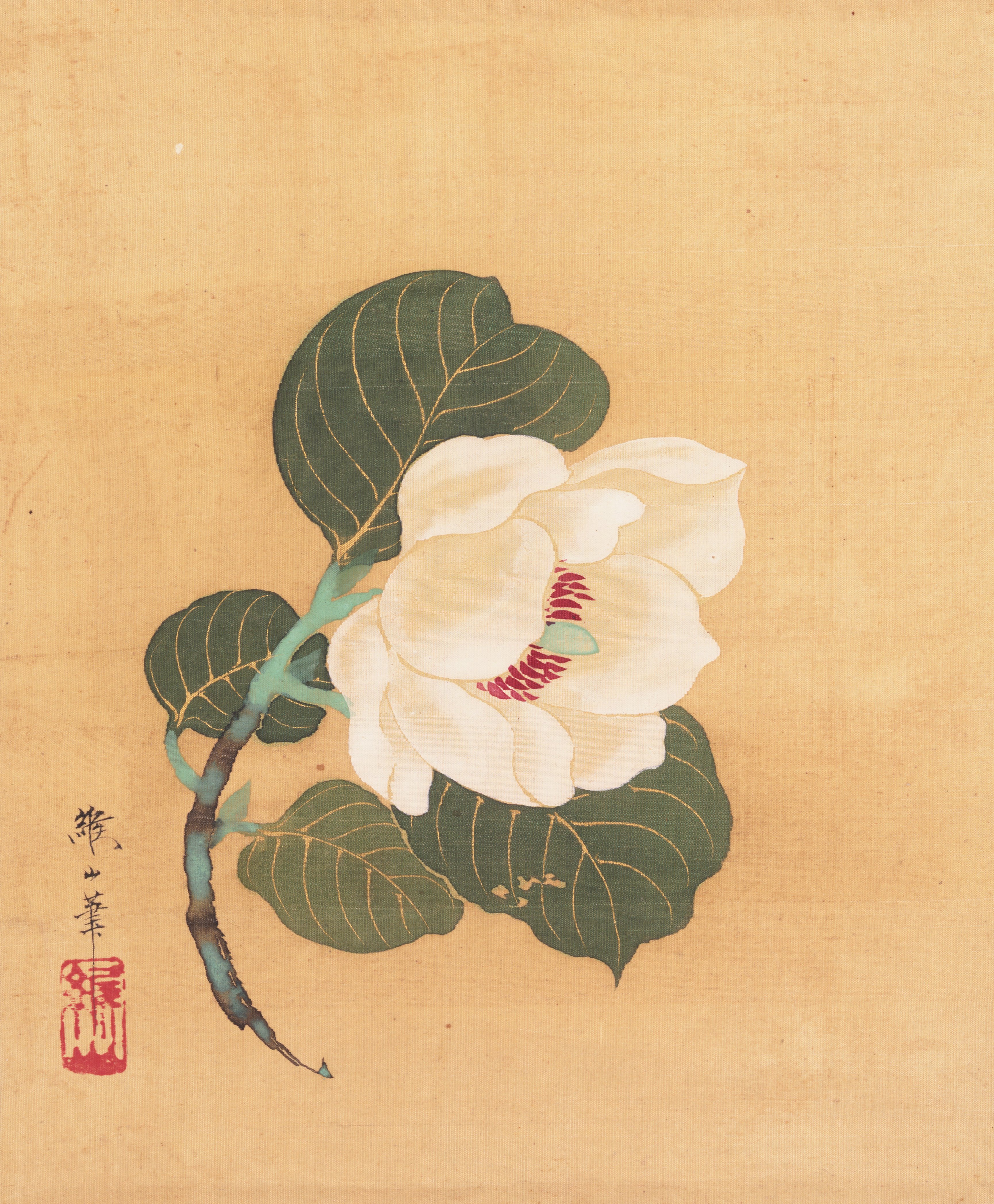 椿