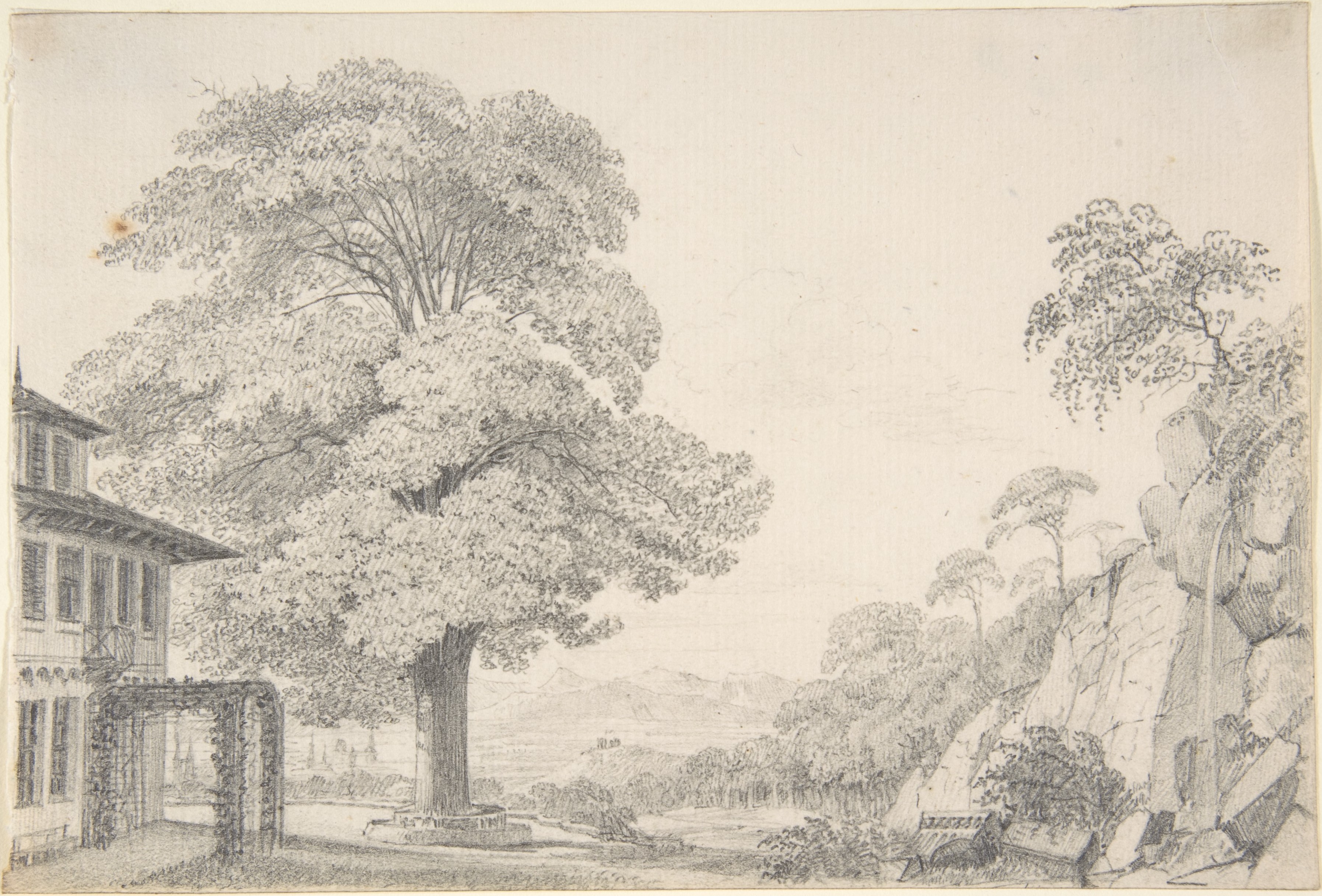 別荘の前の木のある風景