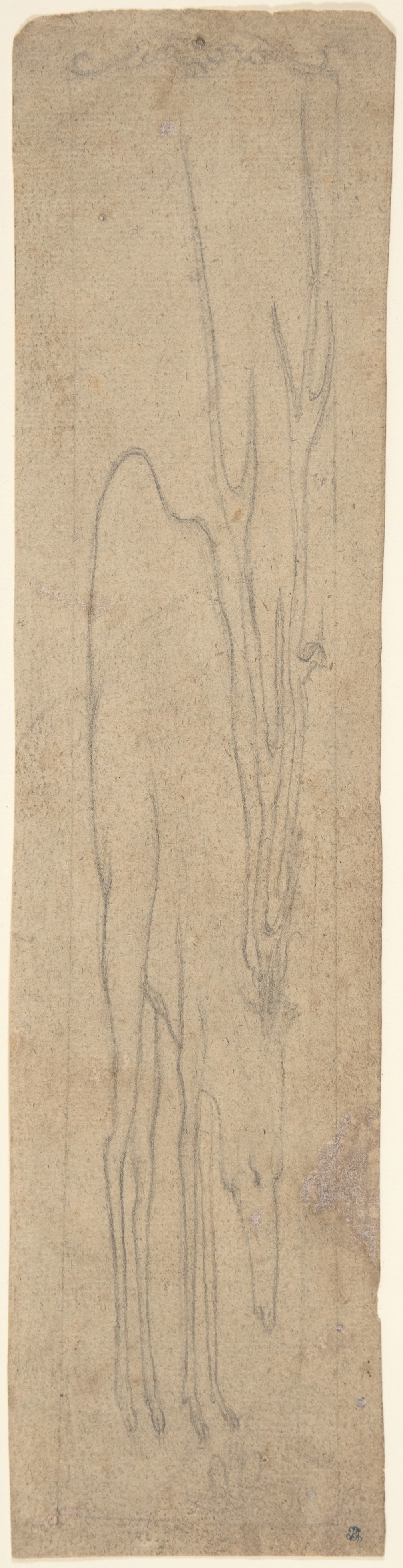 雄鹿のアナモルフィック描画