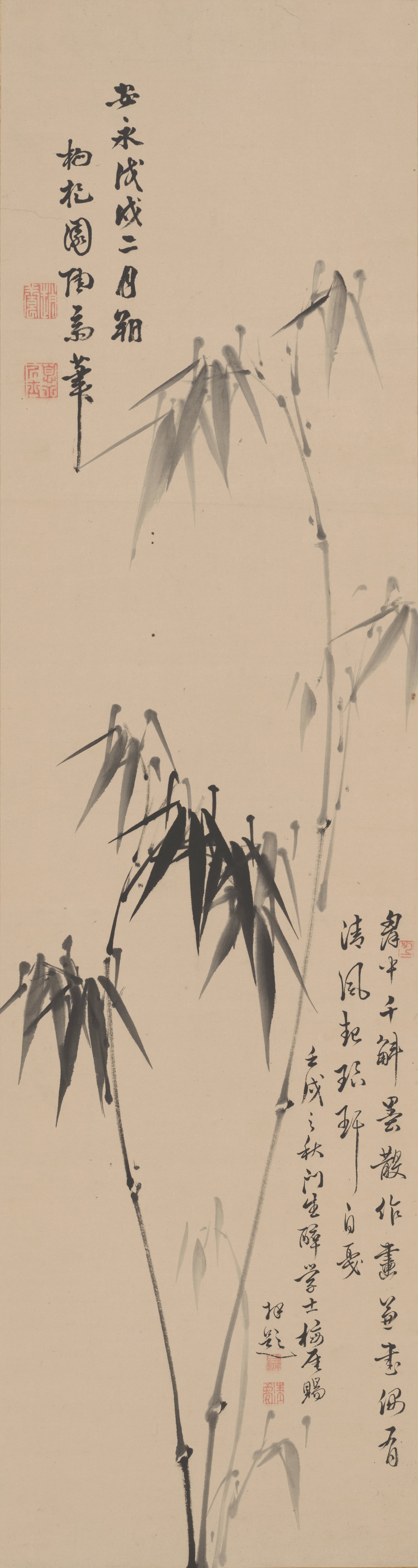 竹