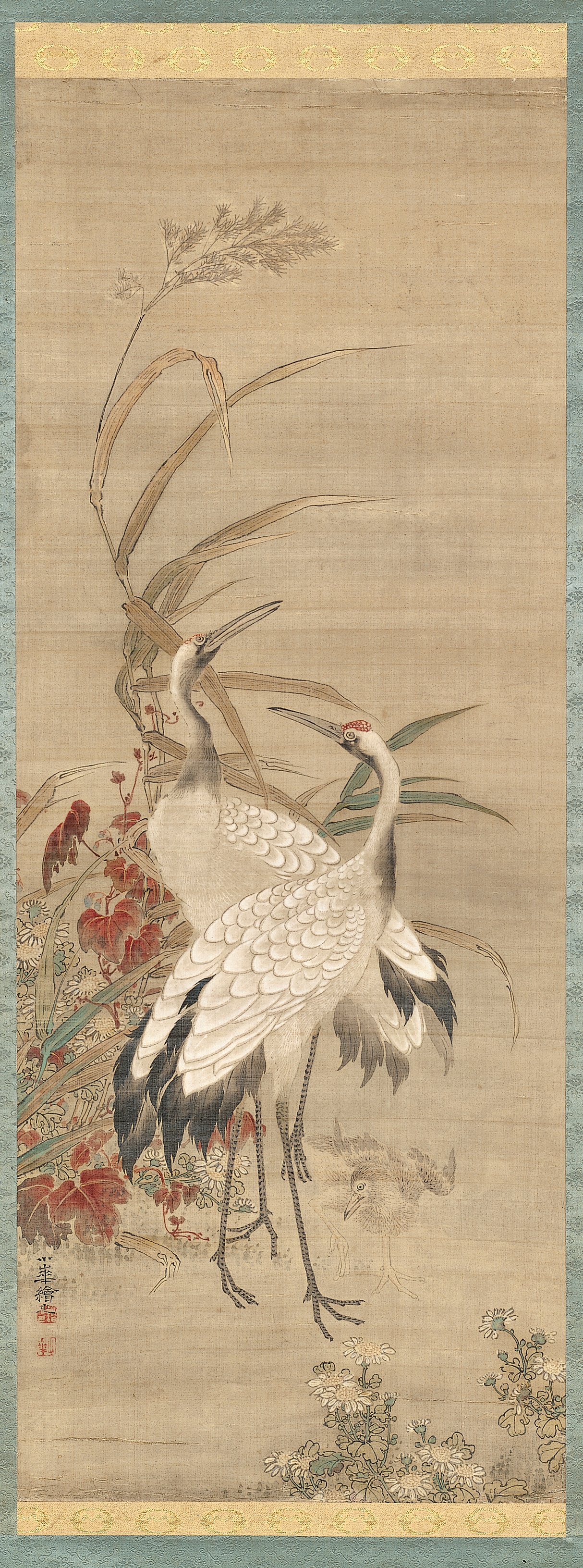鶴の親子