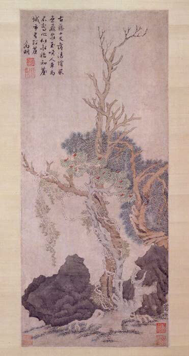 明？  匿名伝記 鄭明 木と岩の間にある老藤 軸|木と岩の間にある老藤