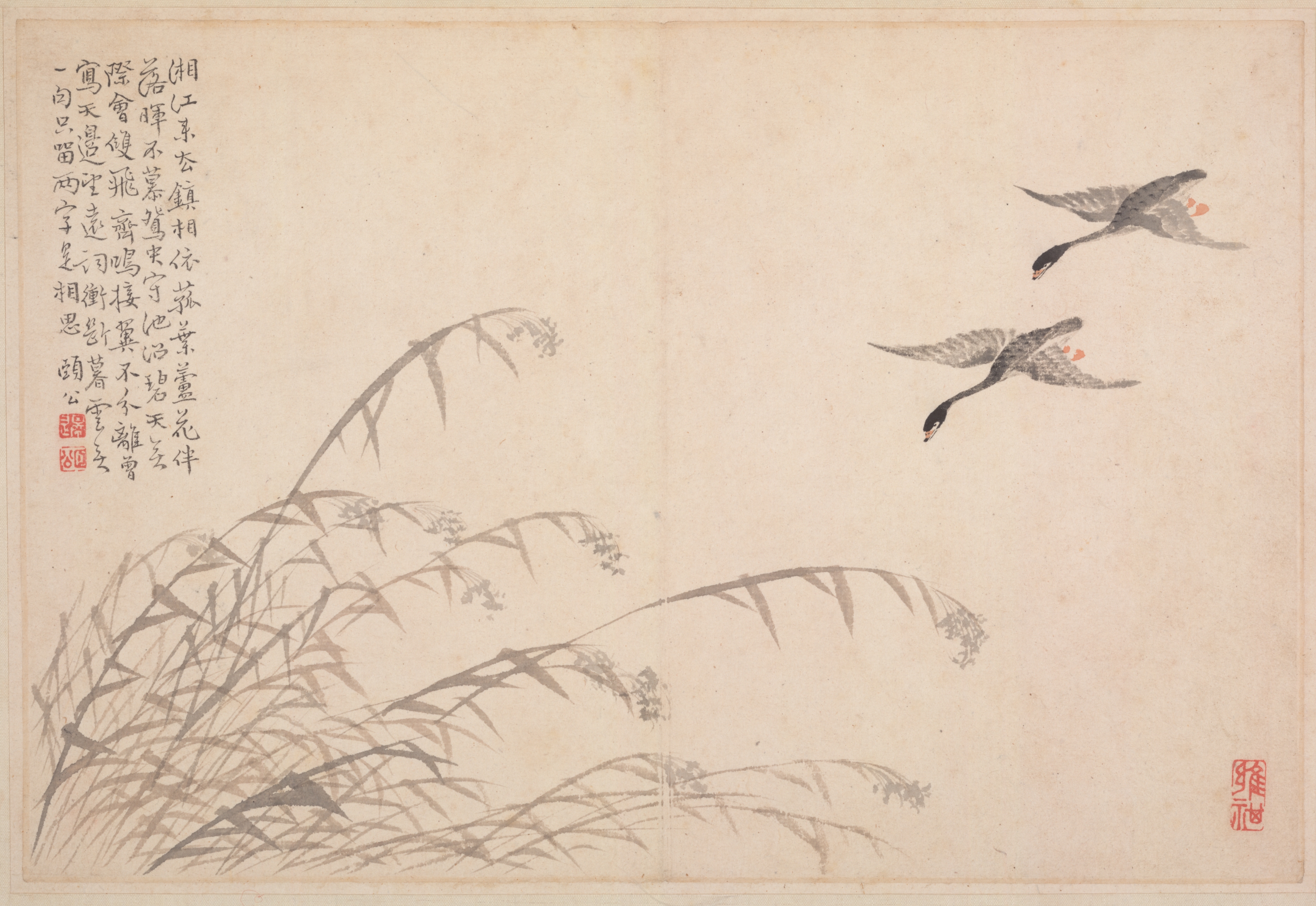 書画帖