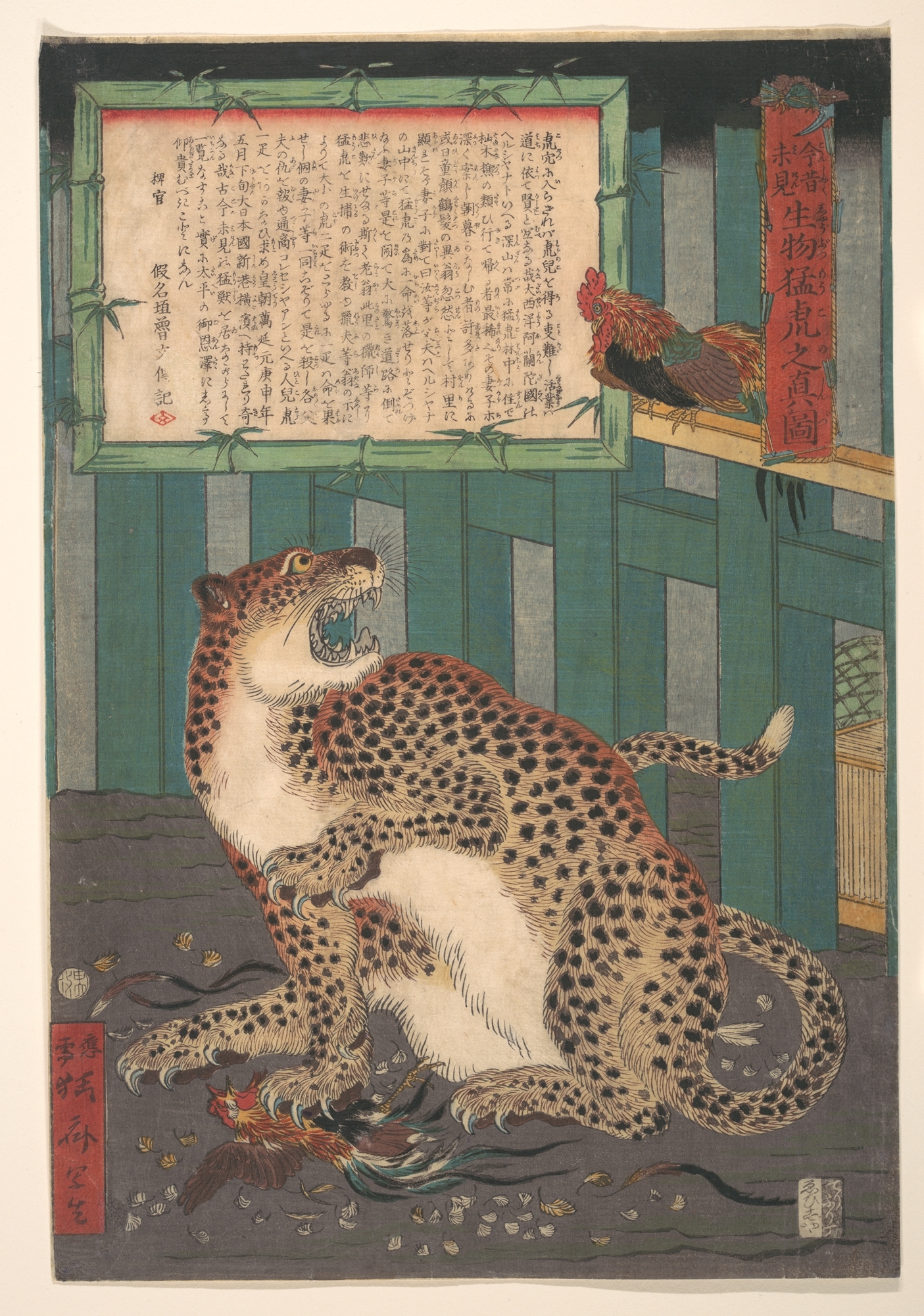 「今まで見たことのない生きた野生の虎の真実の姿」