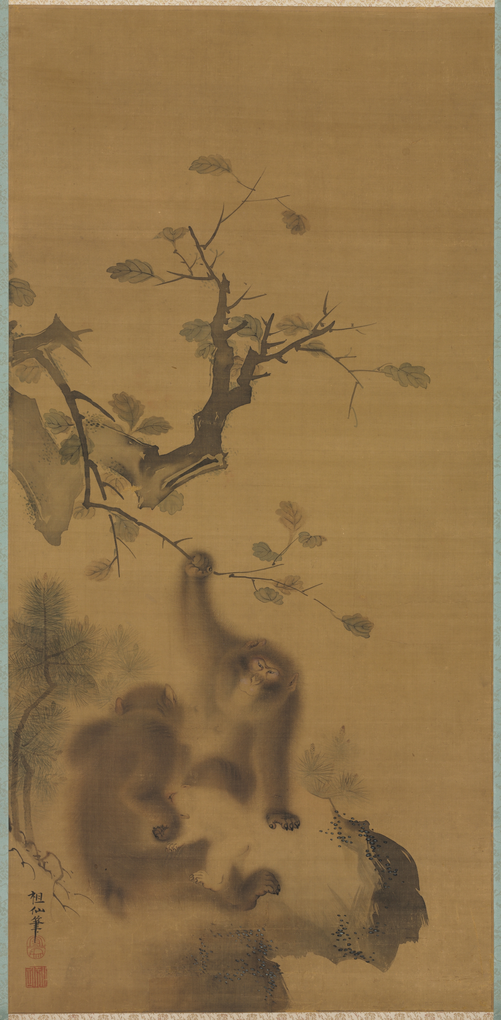 岩棚の猿