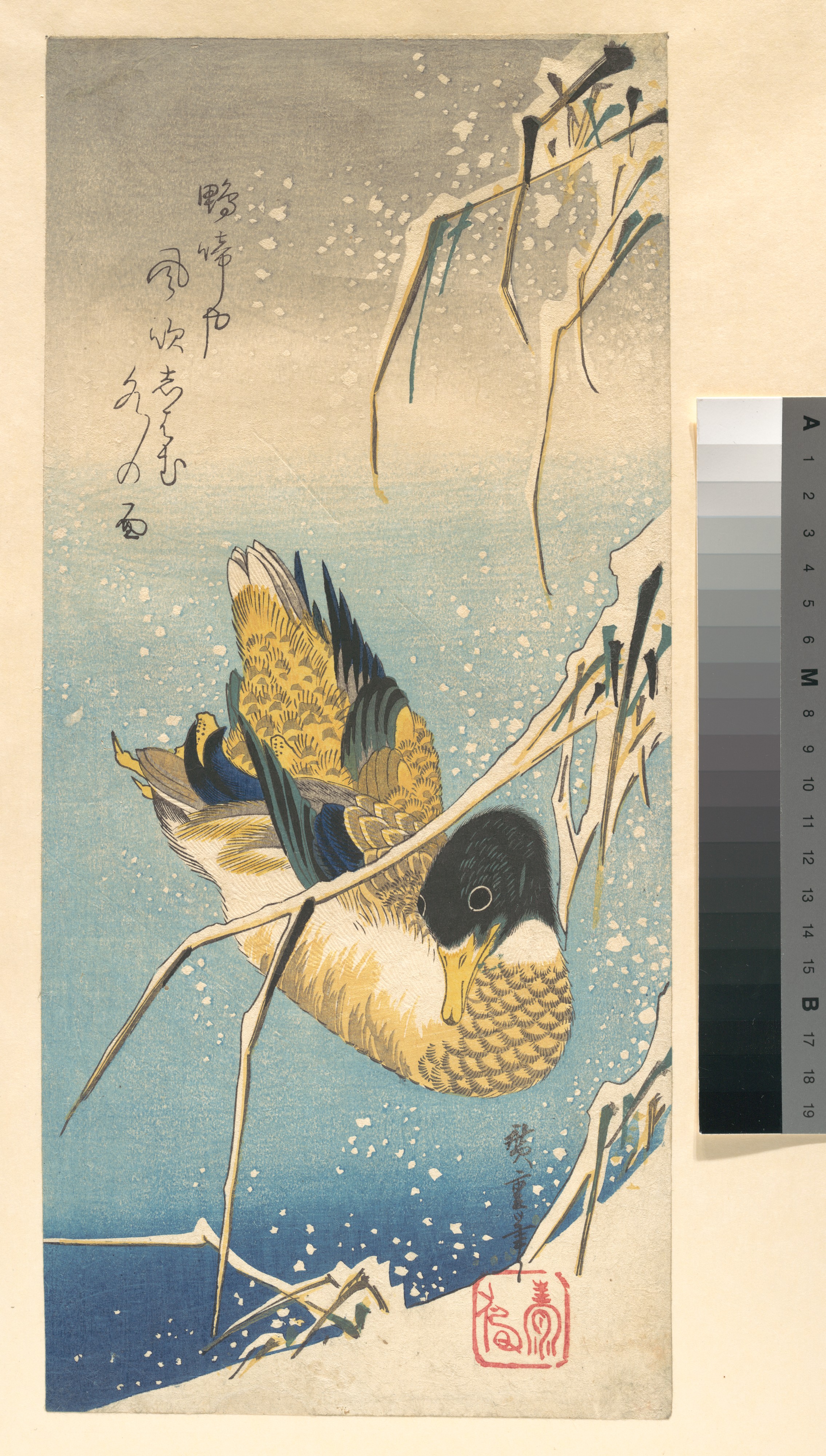 歌川広重画　雪中芦に鴨