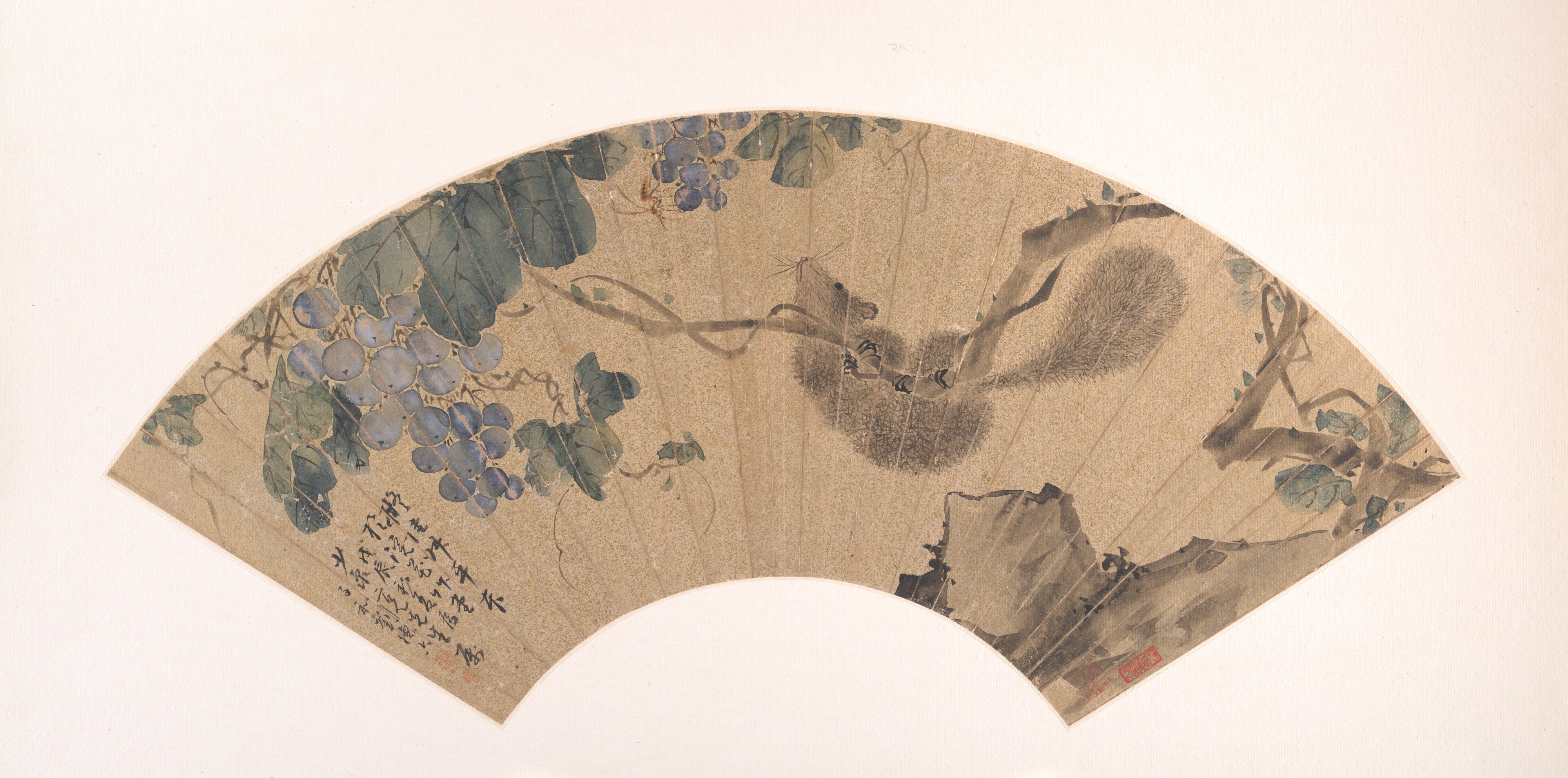 清朝の劉徳利リスとブドウの扇子|リスとブドウ