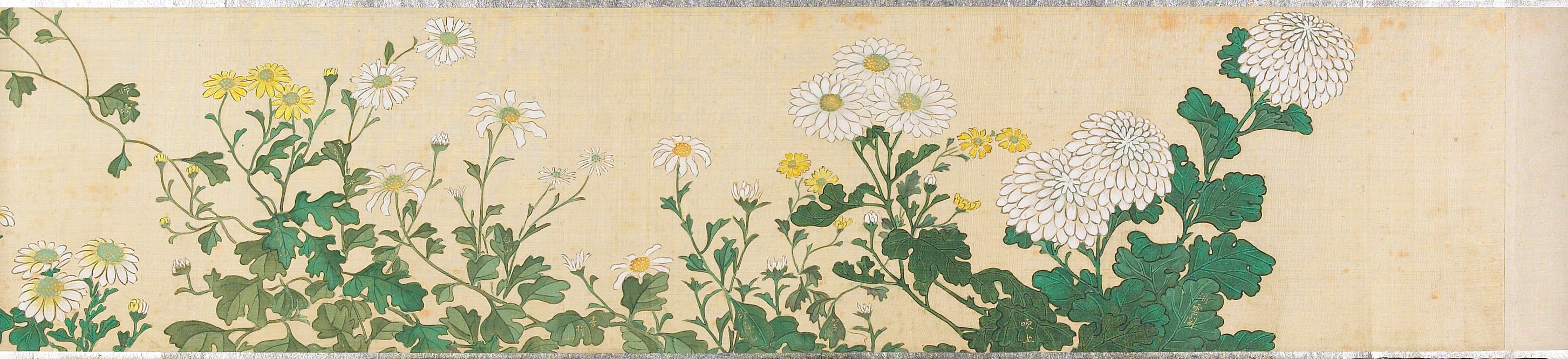 四季の花