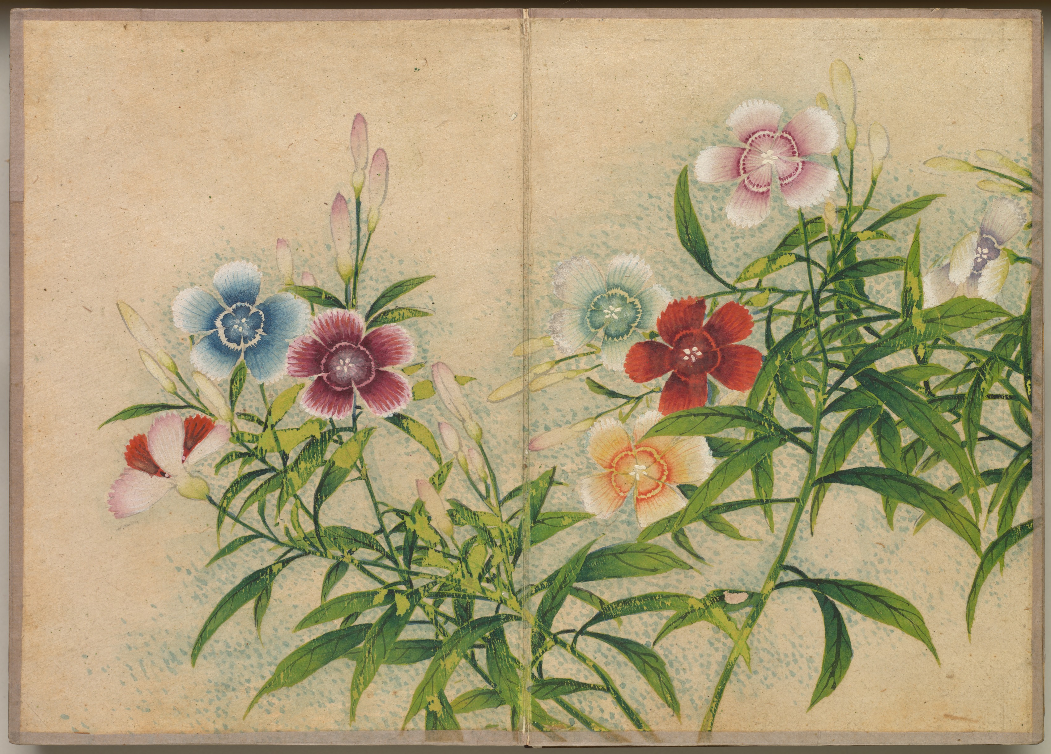 机上画帖：花鳥画（撫子）