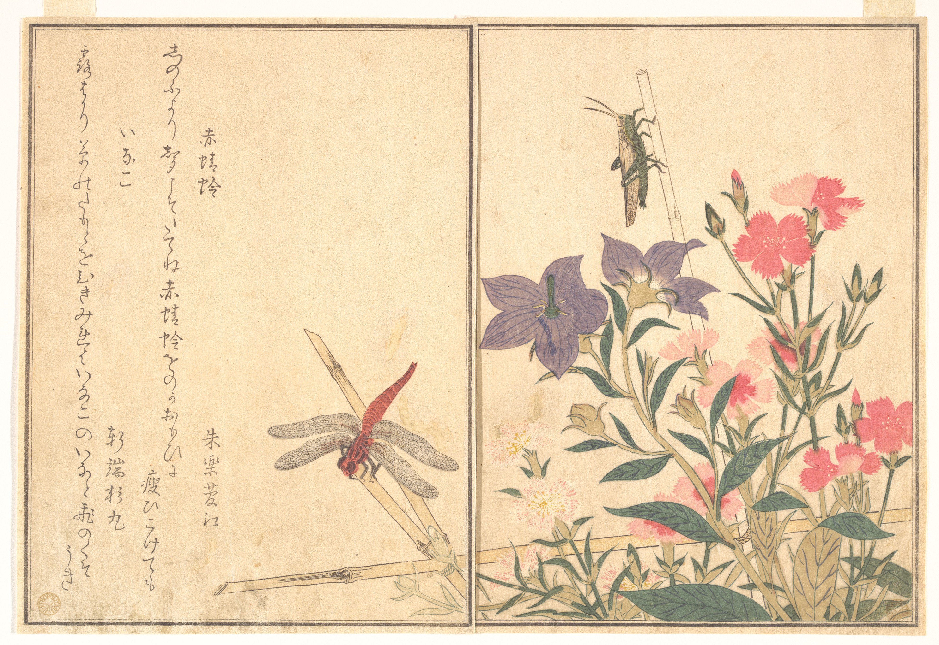 『画本虫撰』「赤蜻蛉」「いなこ」