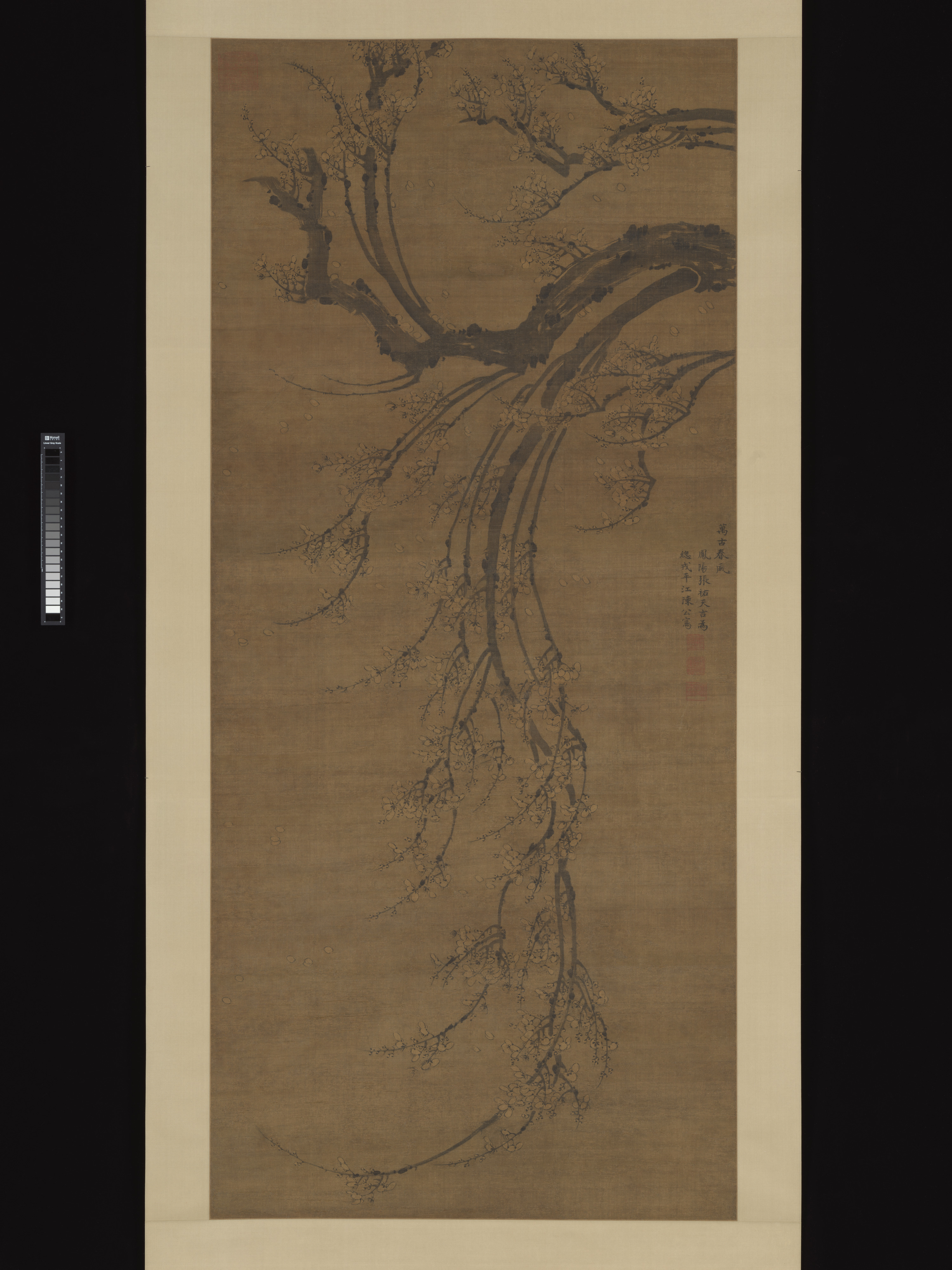 明代の張游永遠の春風絵軸|無数の過去の春風