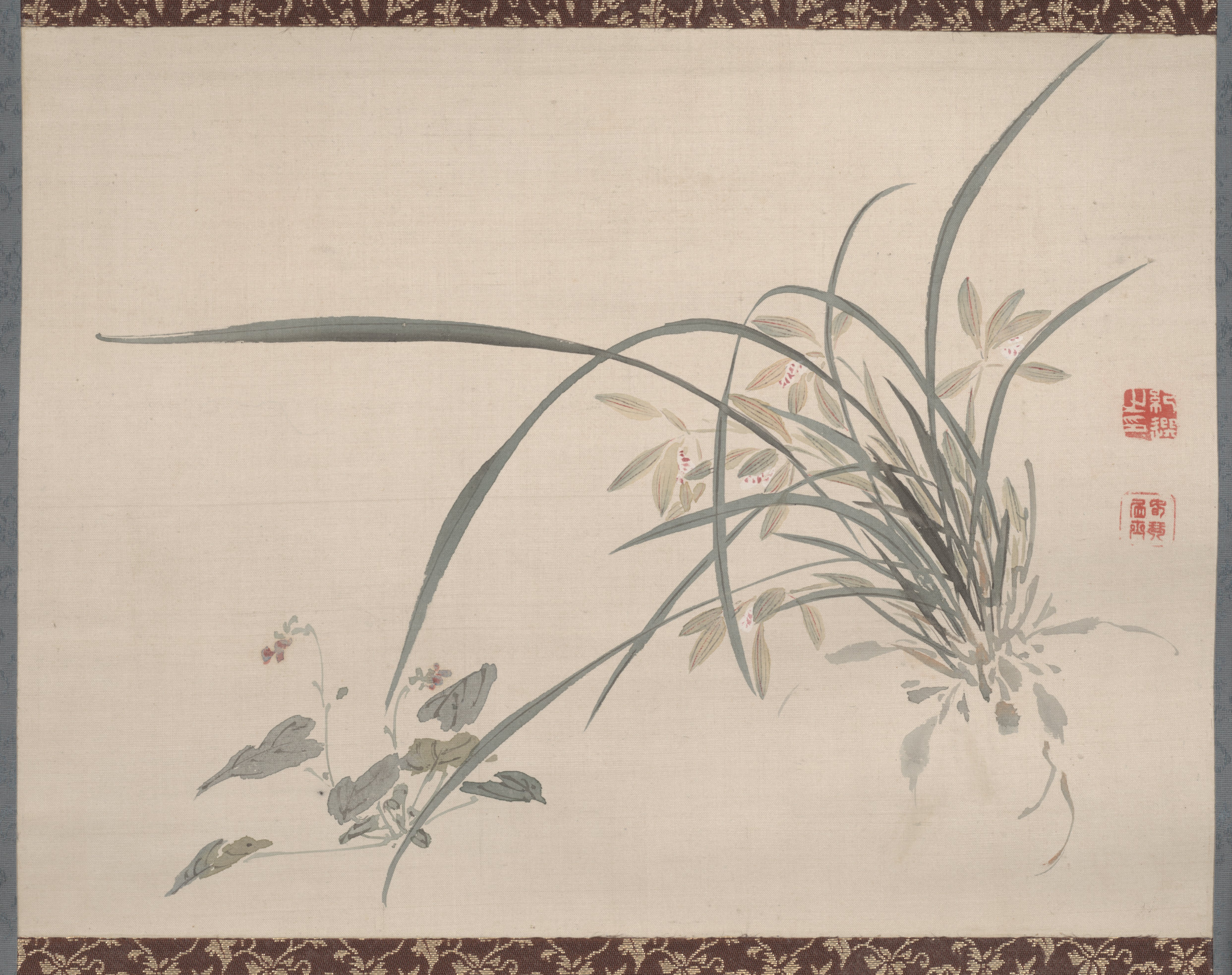 草花・魚・鳥の写生（蘭）