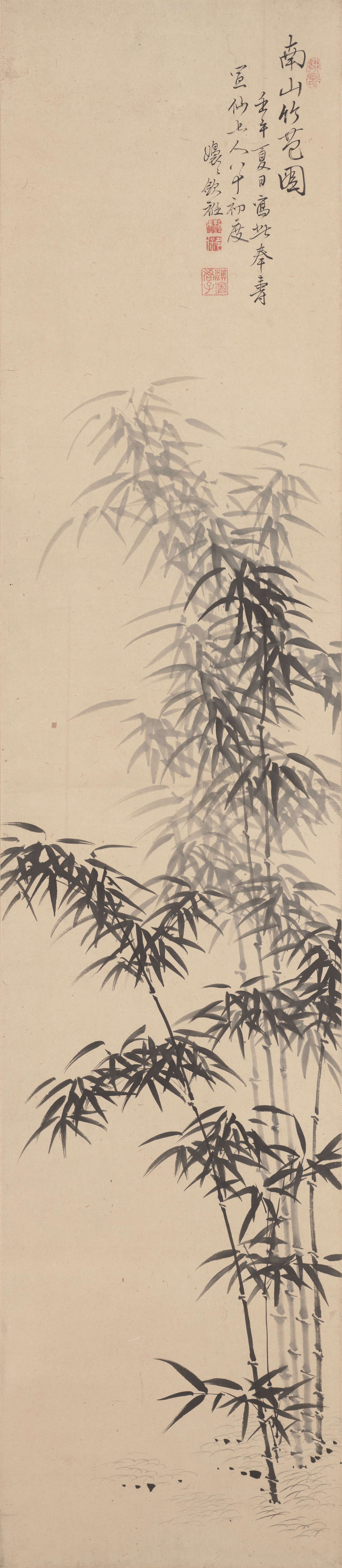 南山の竹