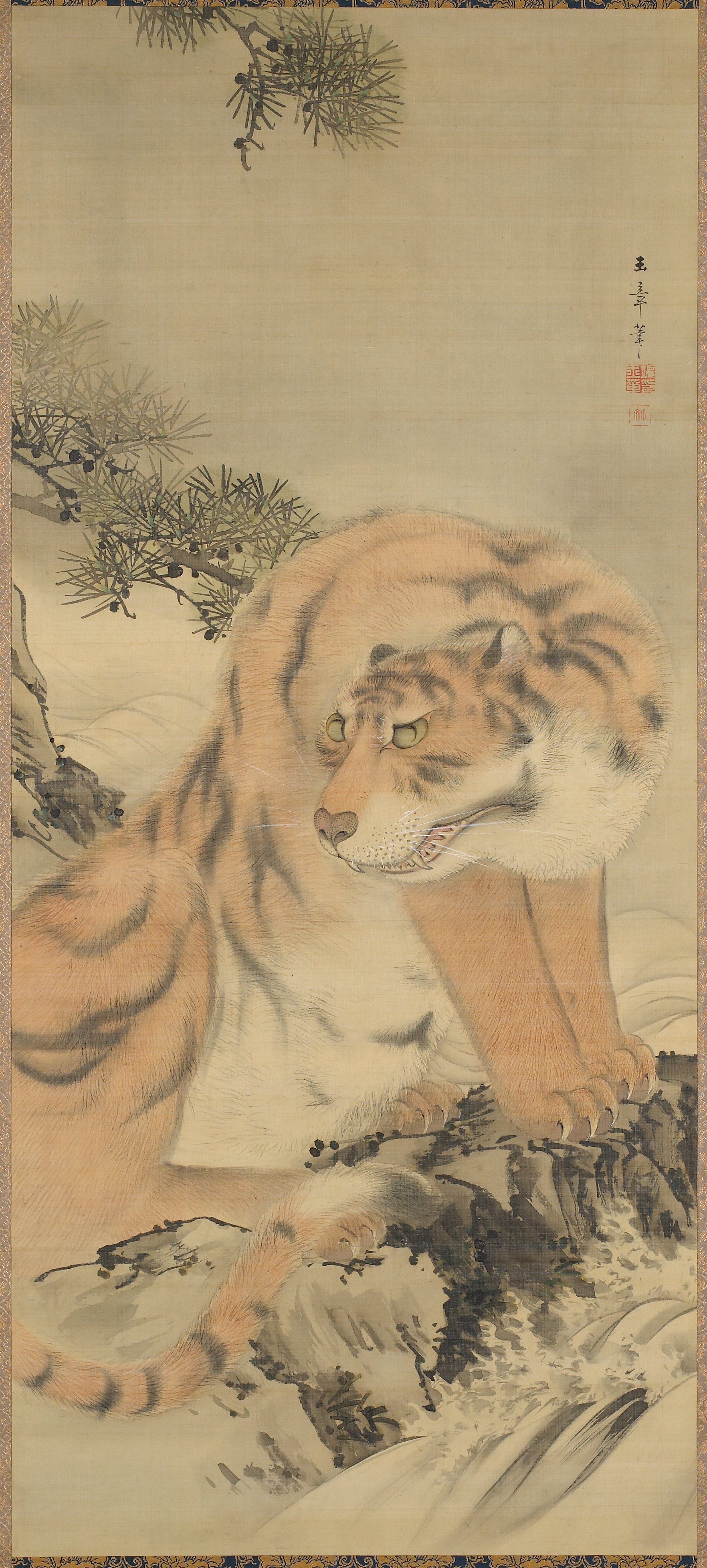 川辺の虎