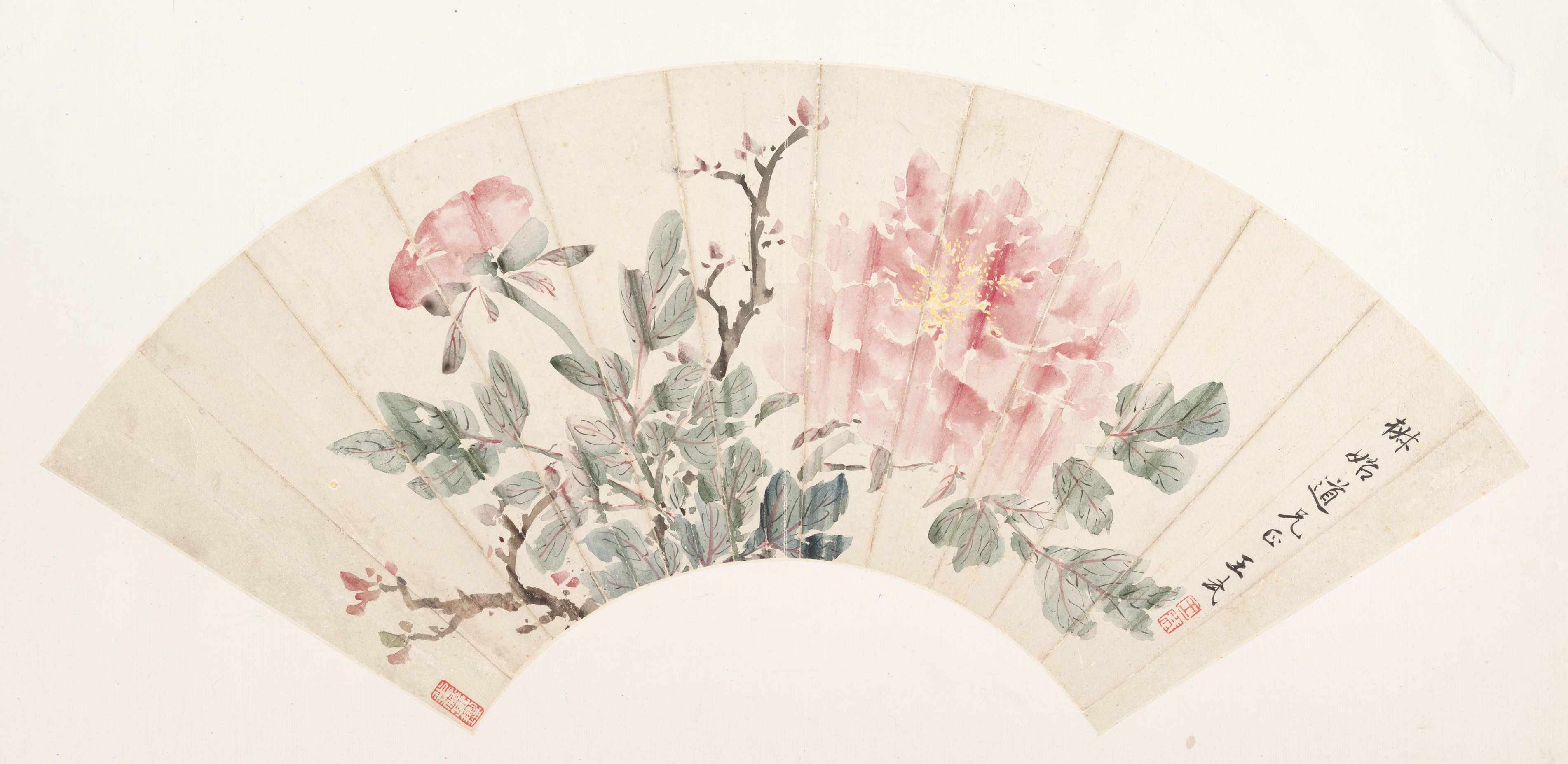 王武、清朝、牡丹画扇 |牡丹