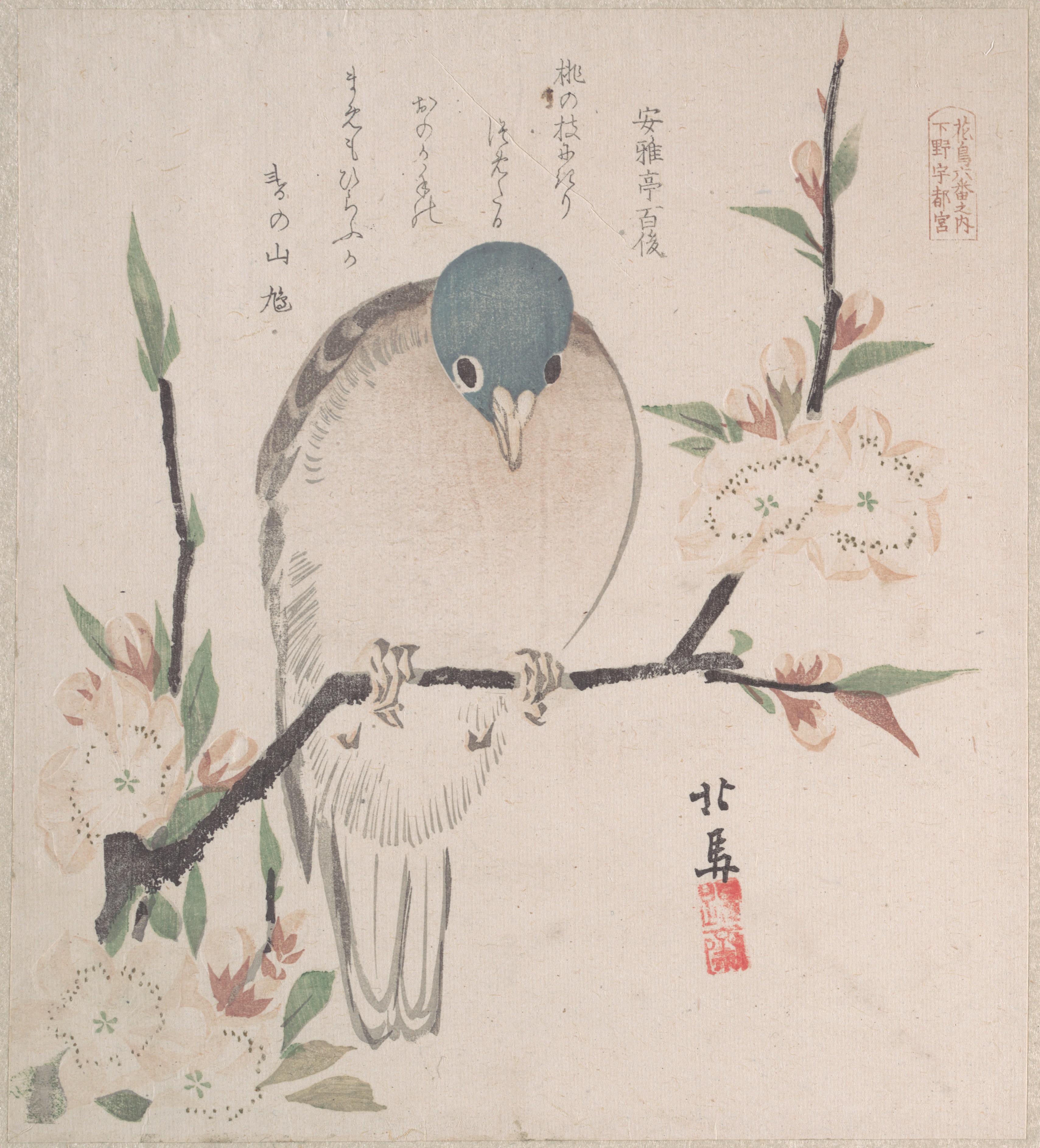 摺物帖　『春雨集』　『花鳥六番之内　下野宇都宮』　桃に山鳩