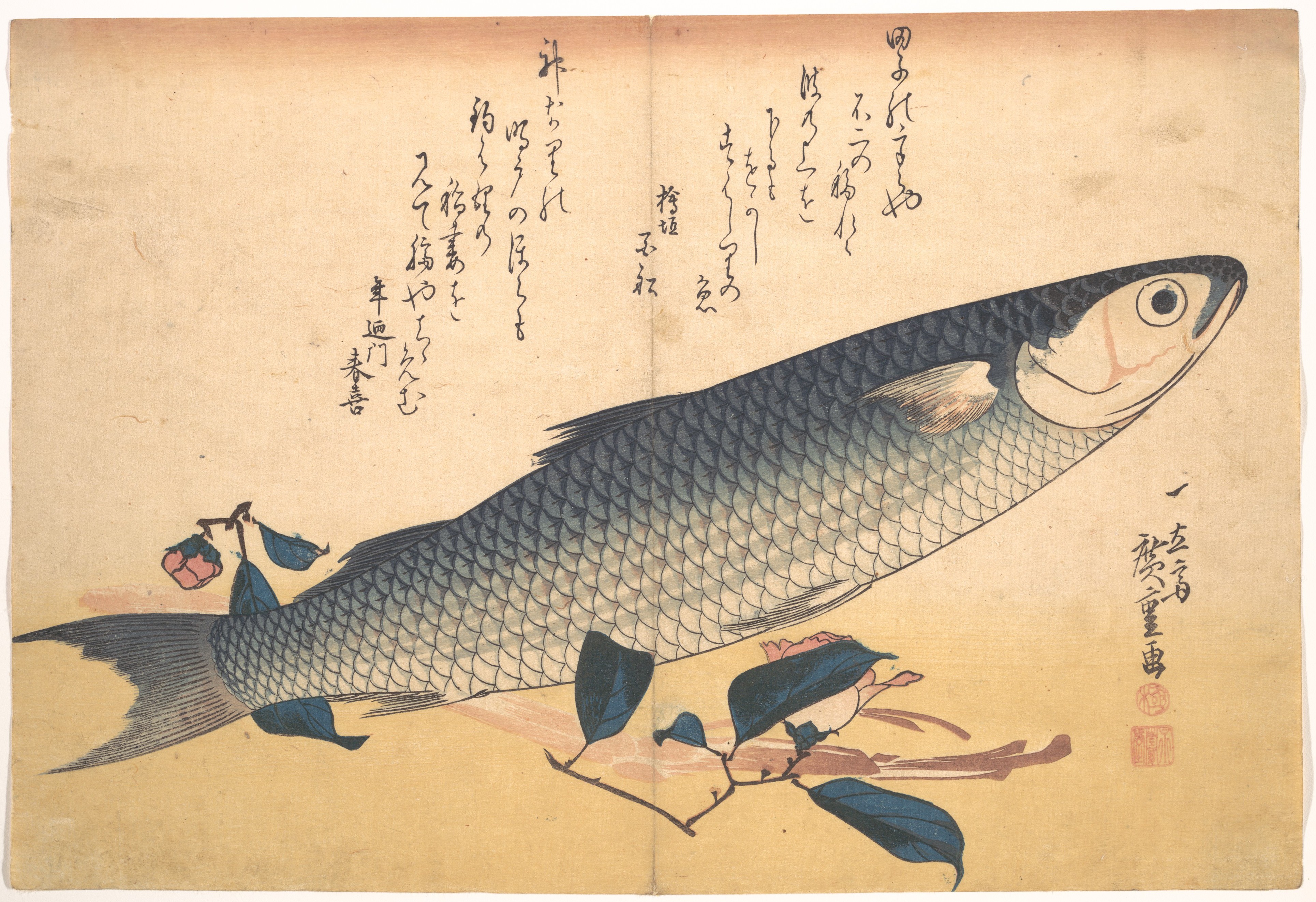 魚づくし　ぼらにうど