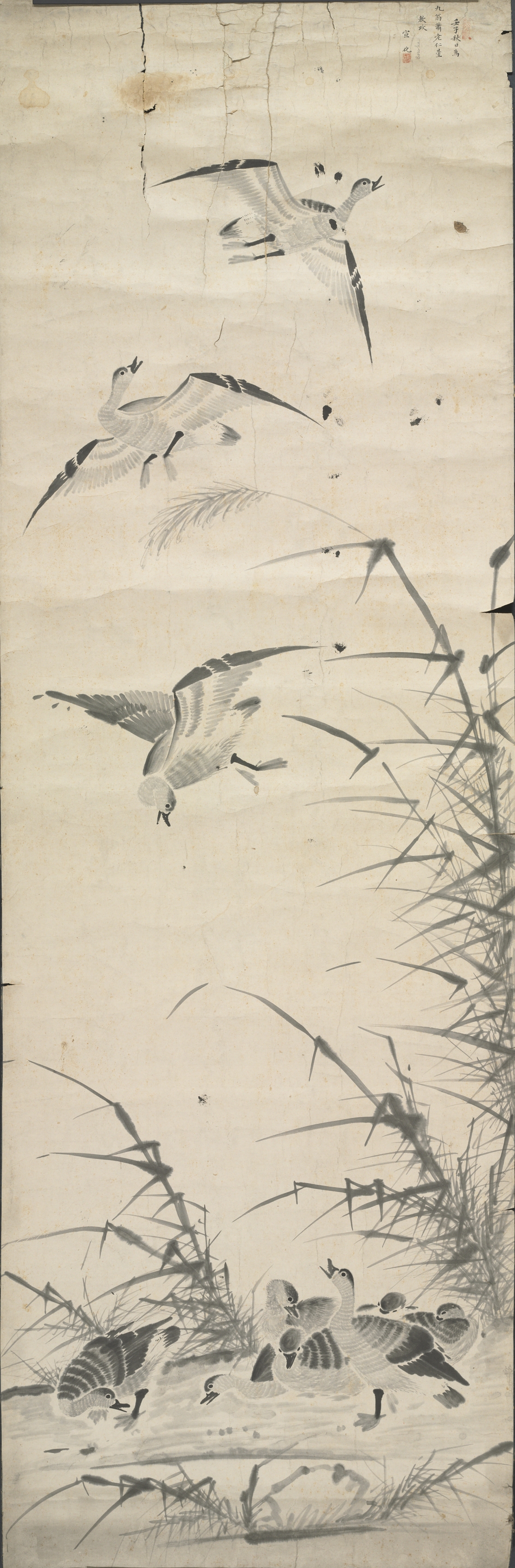 雁と蘆