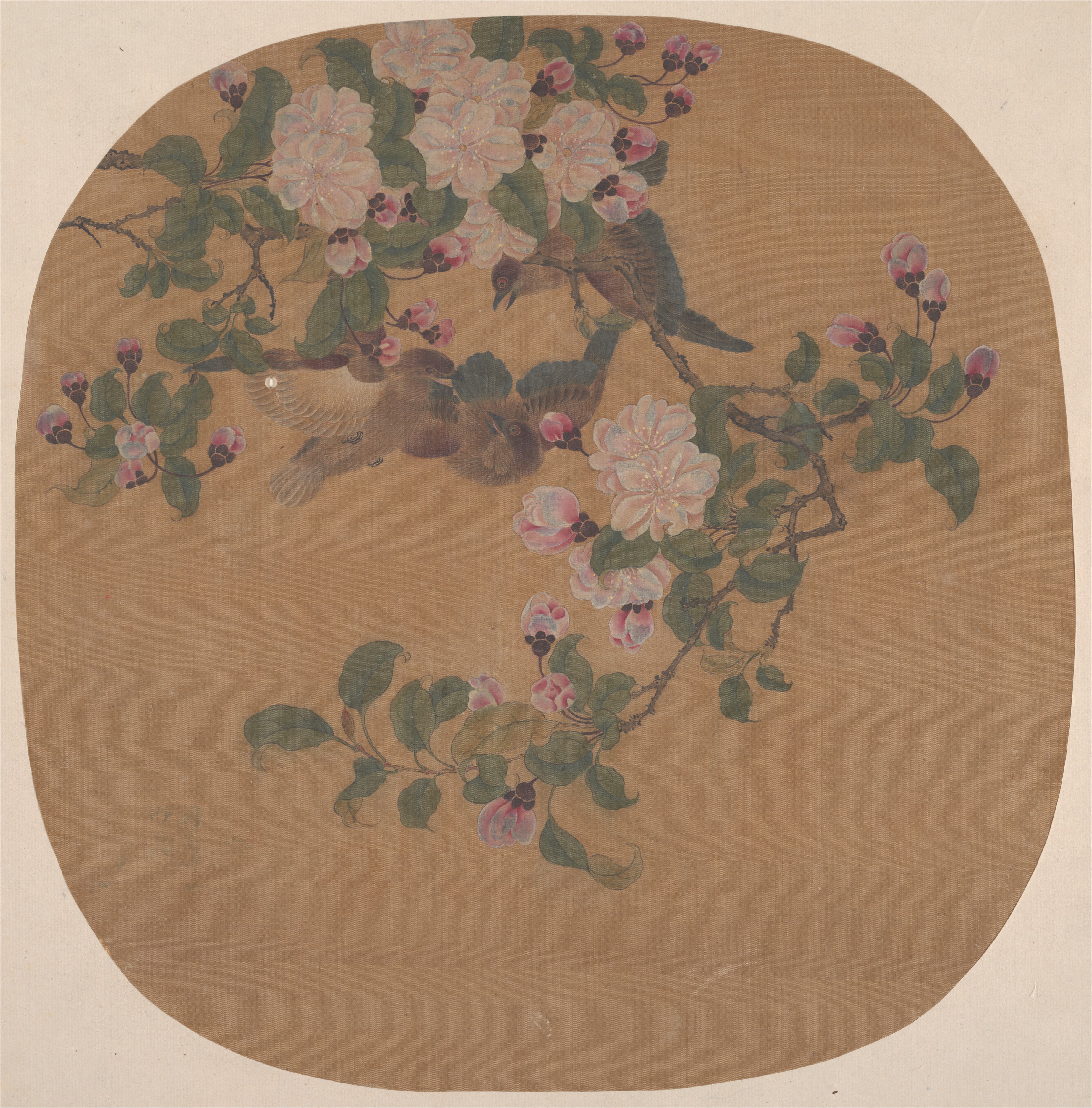 清朝匿名のシャン鳥ベゴニア扇|花と鳥