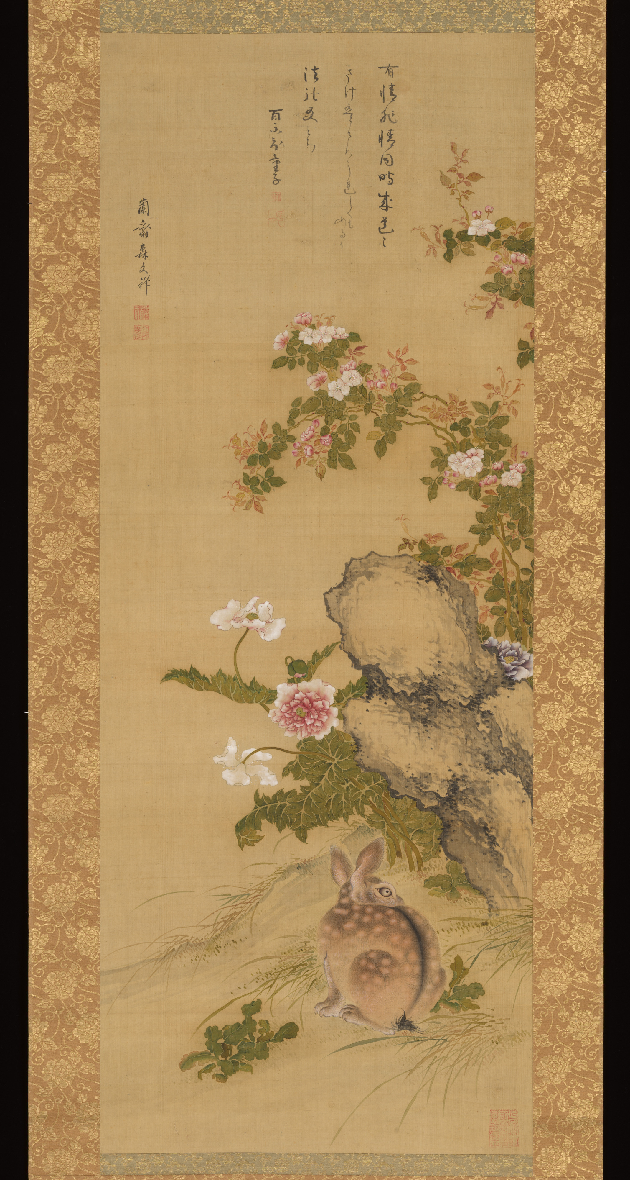 森蘭斎筆  慈雲飲光賛  薔薇に兎図