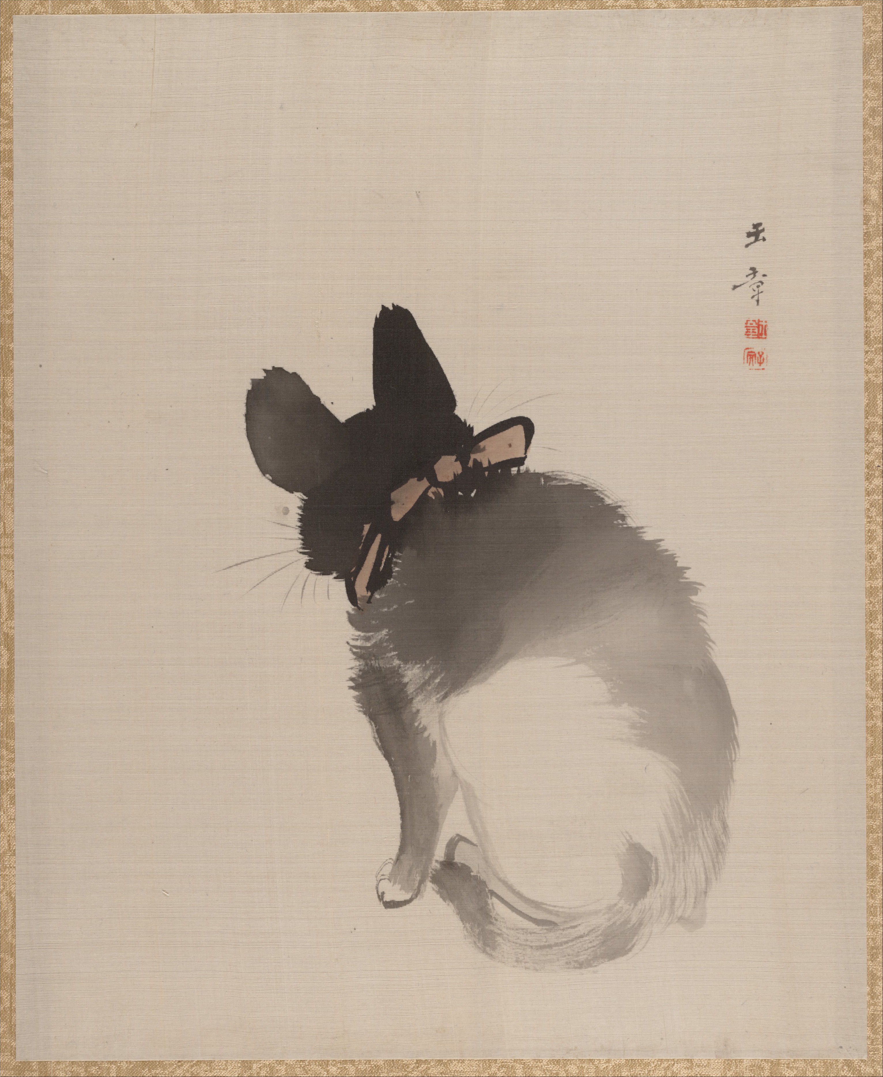 後ろから見た猫