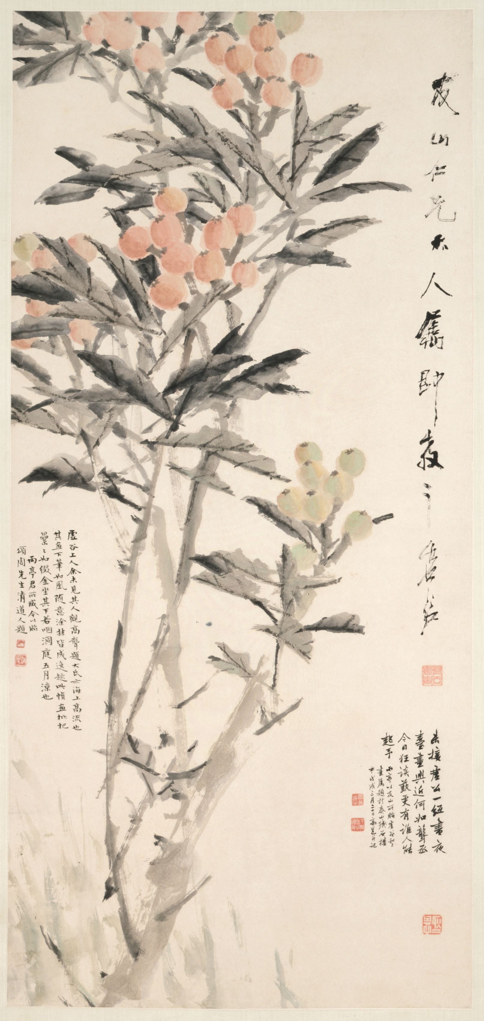 枇杷