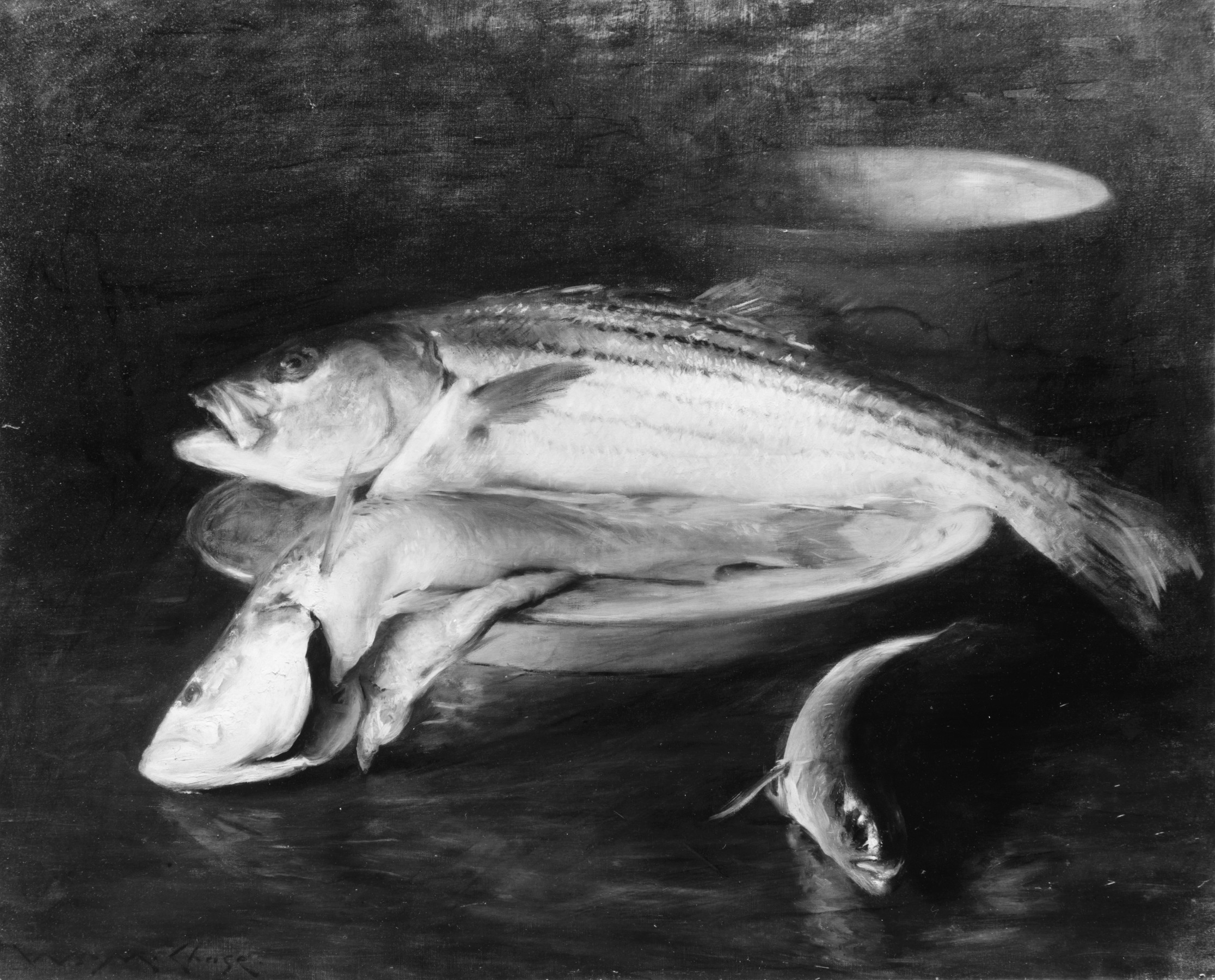 魚