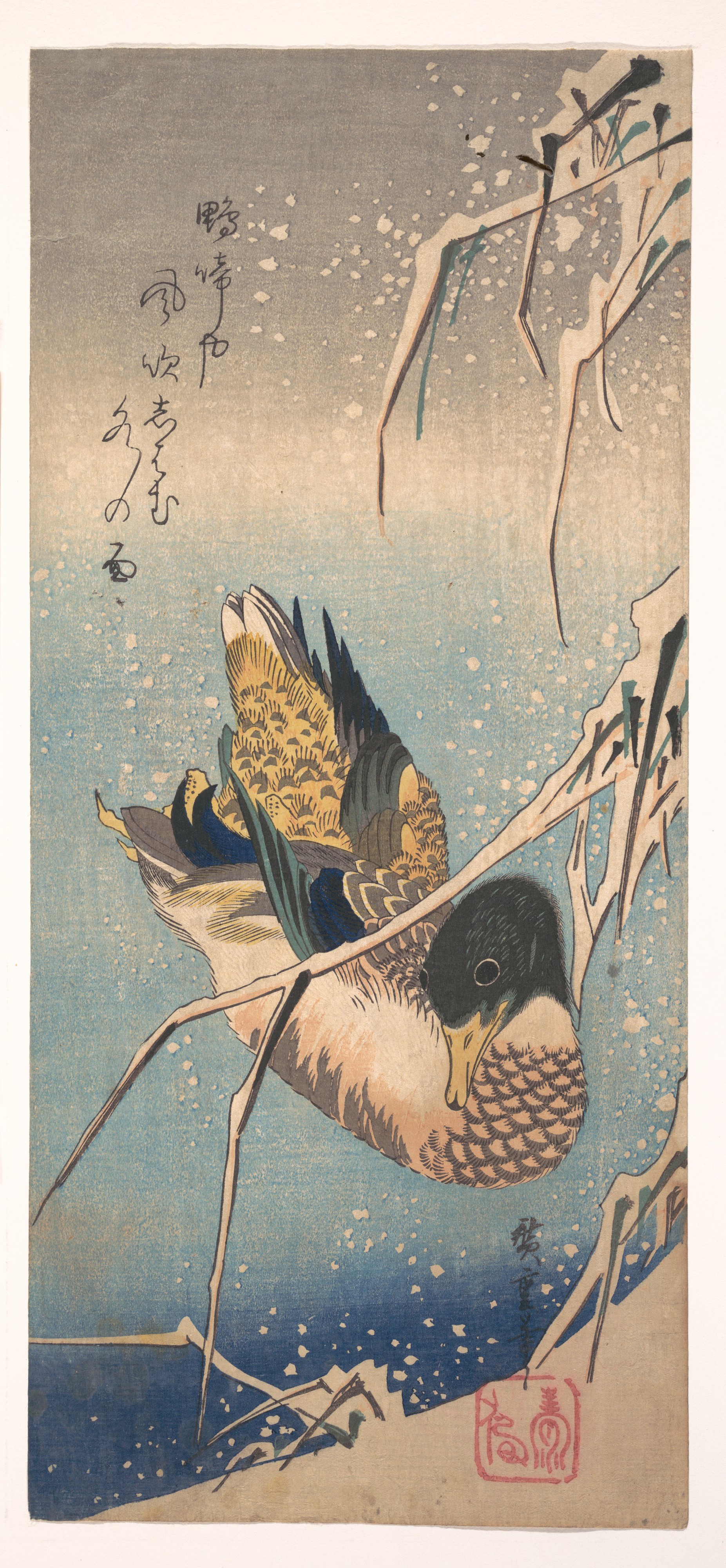 雪中芦に鴨