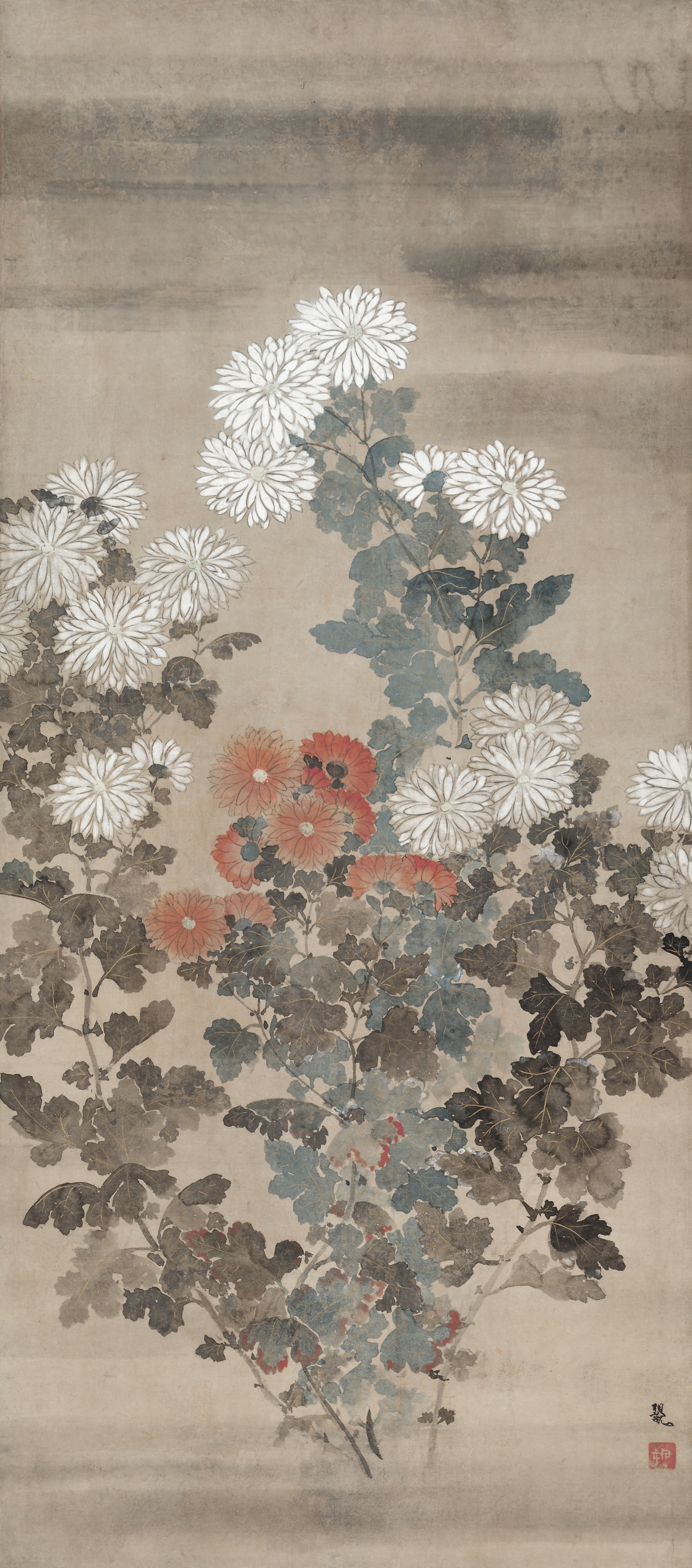 菊