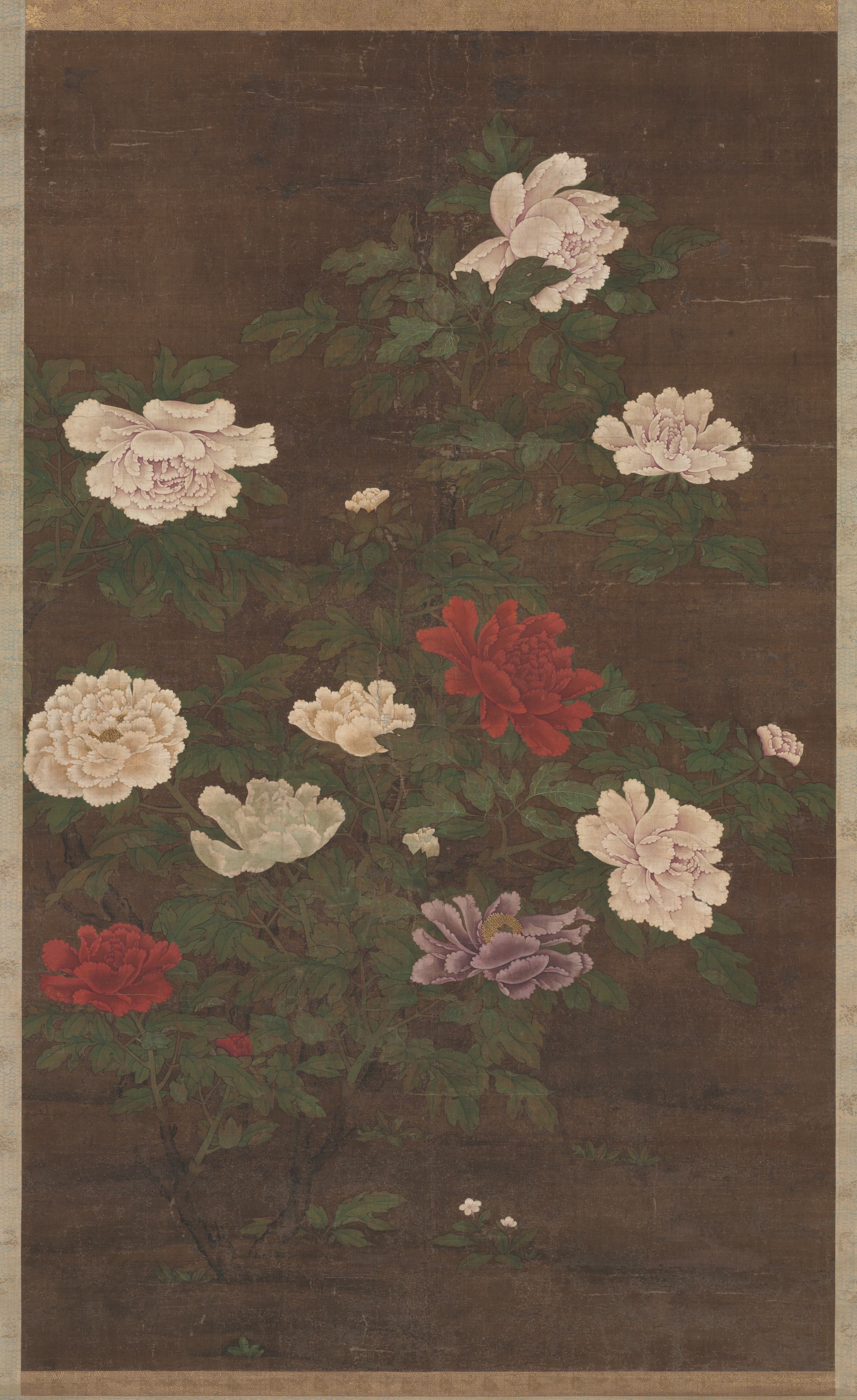 牡丹