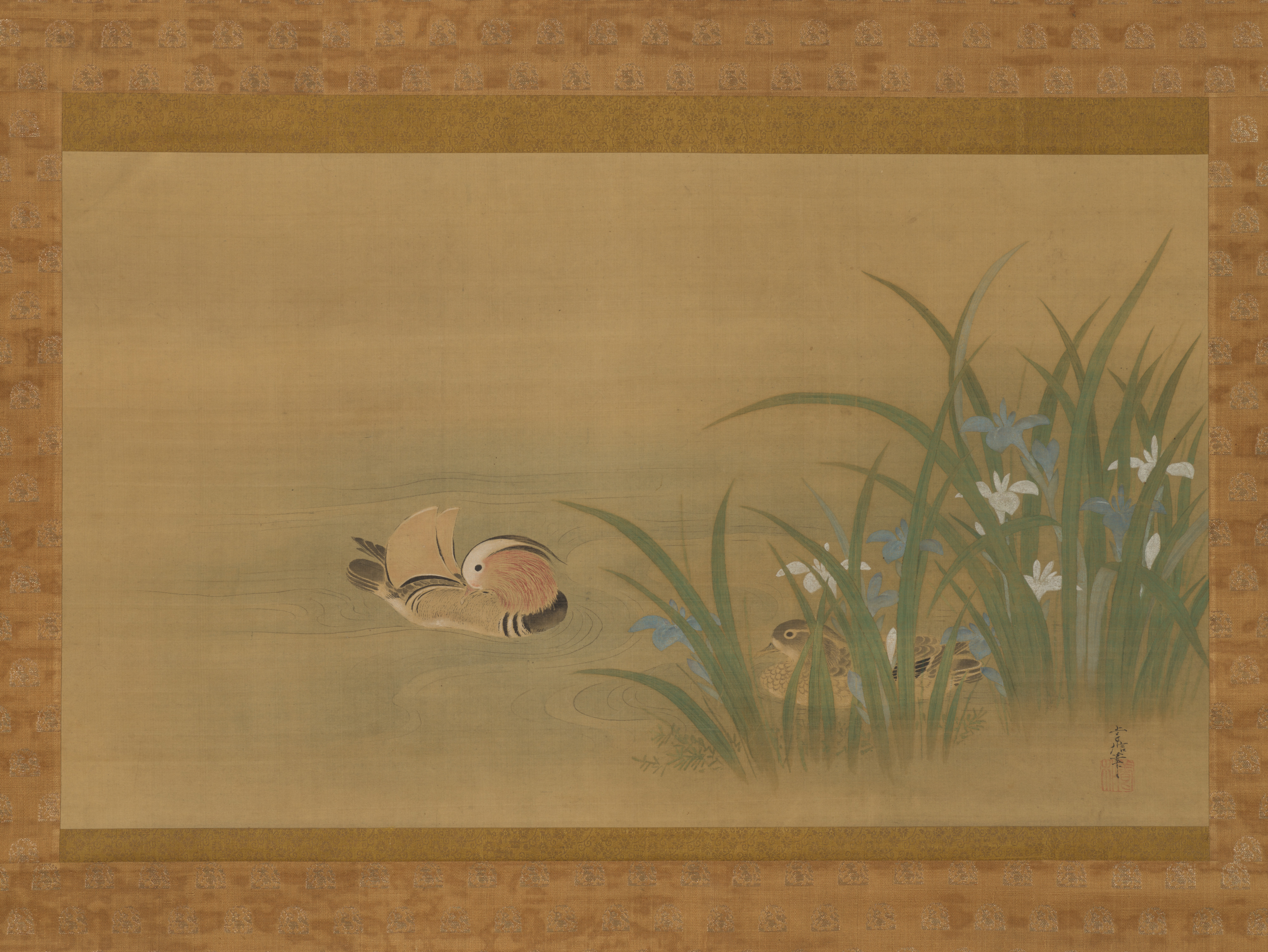 狩野常信筆　燕子花に鴛鴦図
