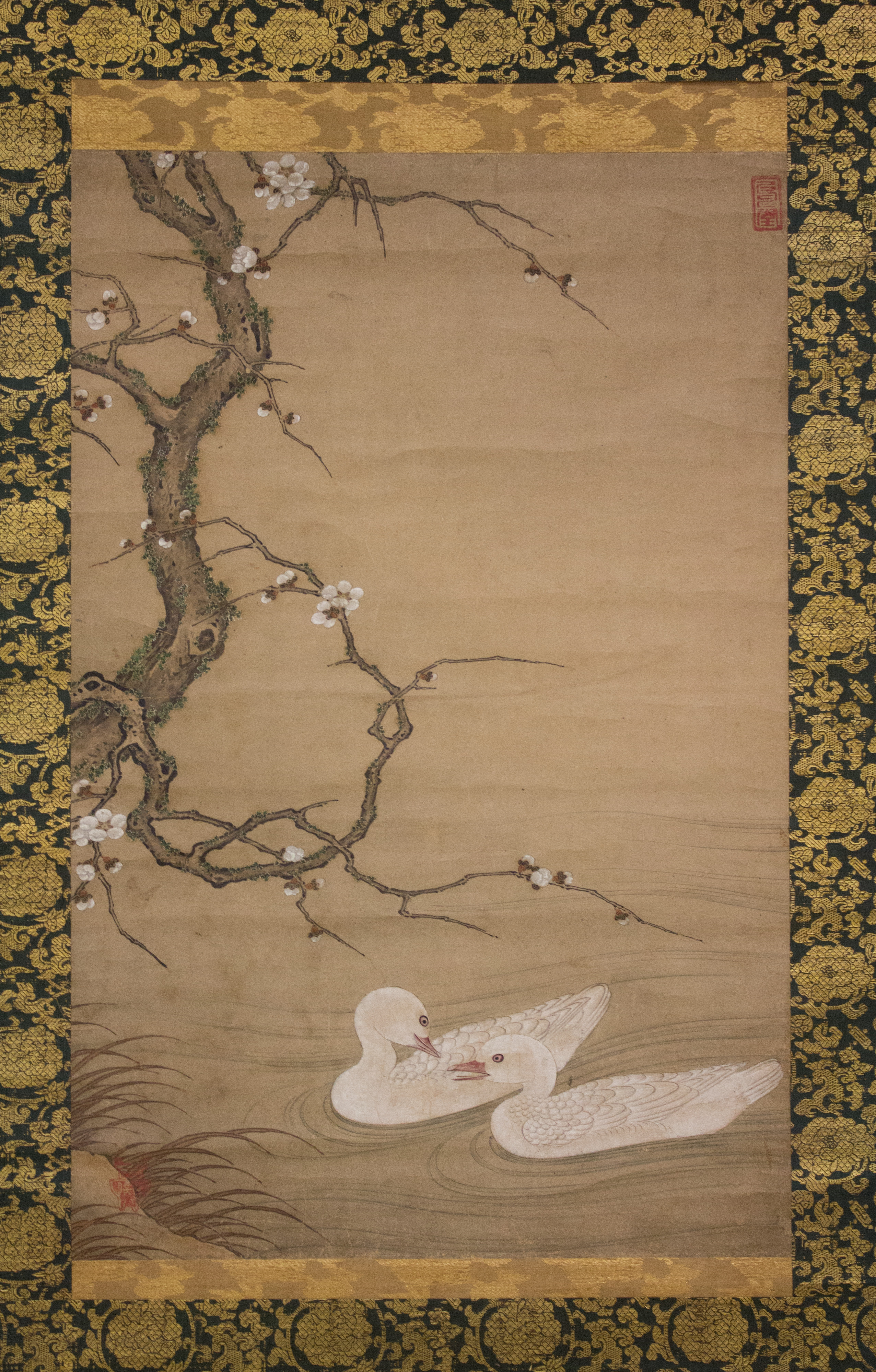 梅の木と水鳥